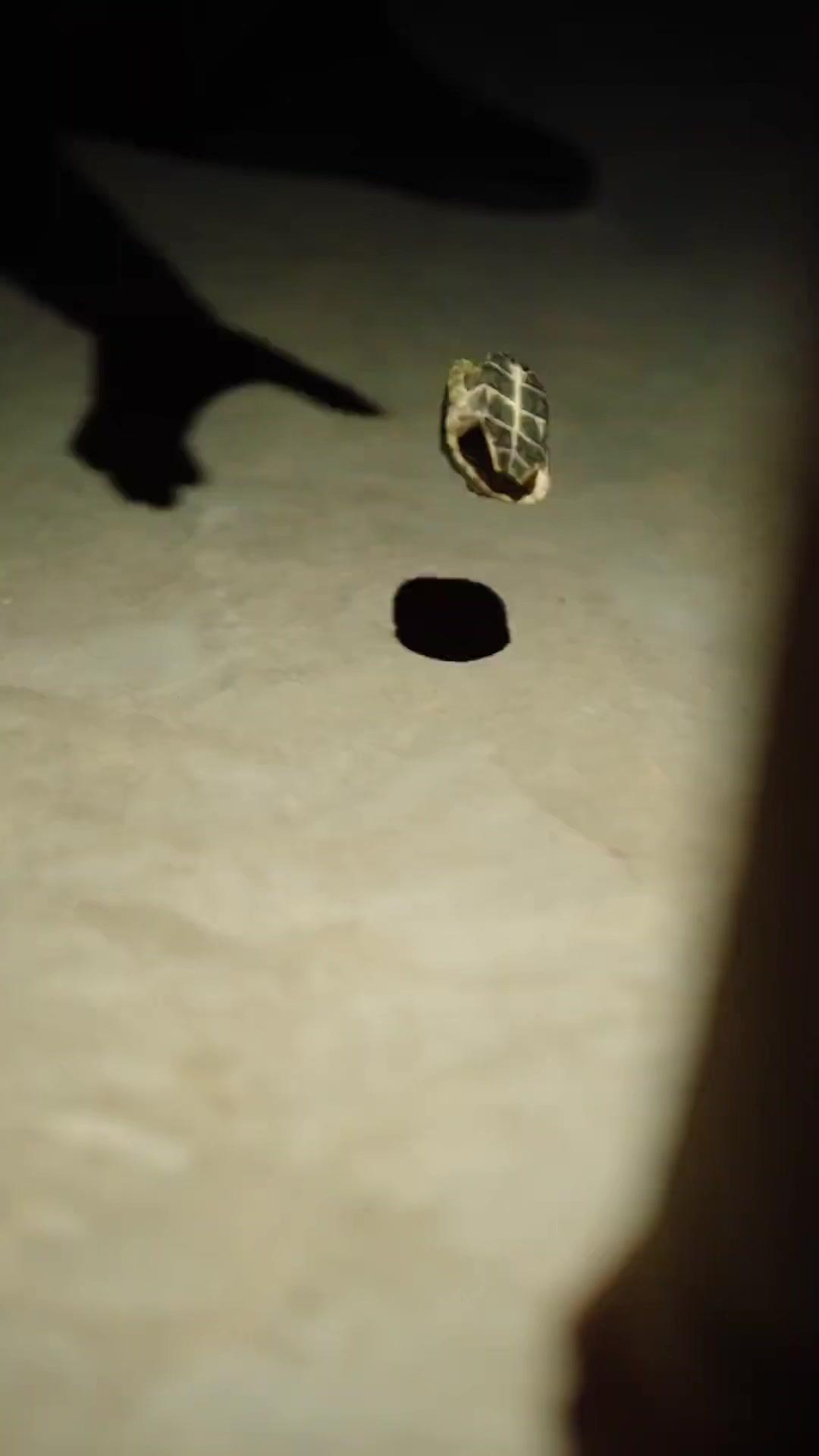 彼女は生贄だった