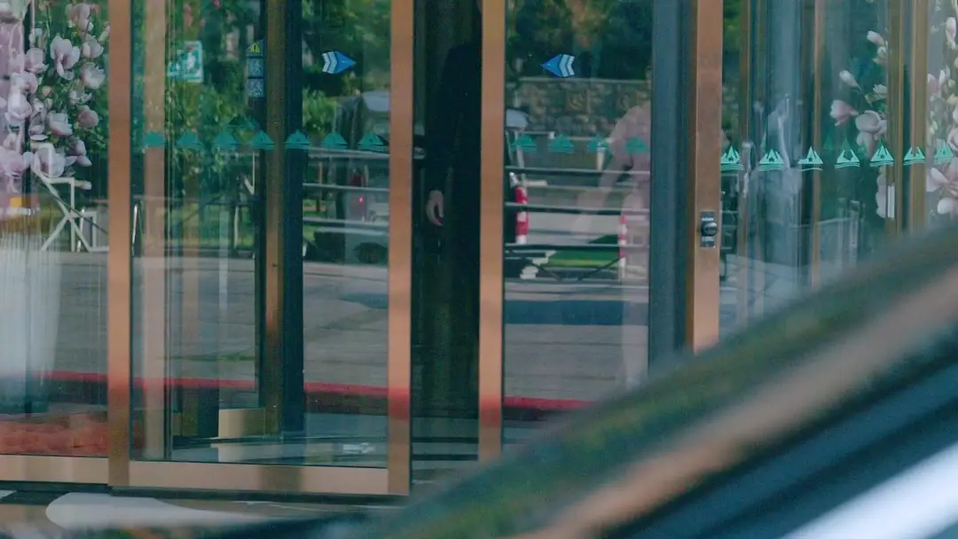 The Pink Dress vs The Golden Hood Ornament