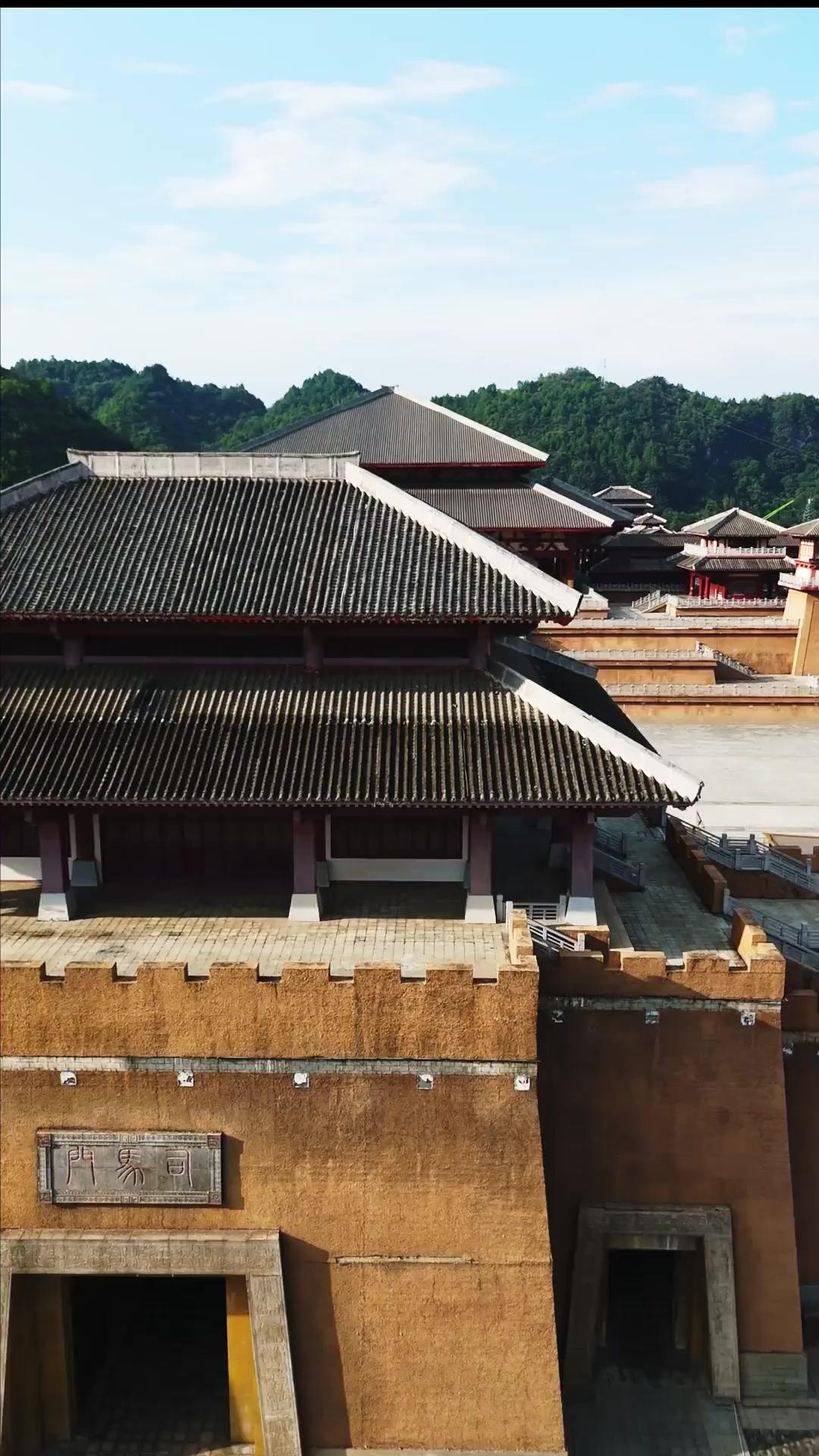 불꽃을 향한 봉황