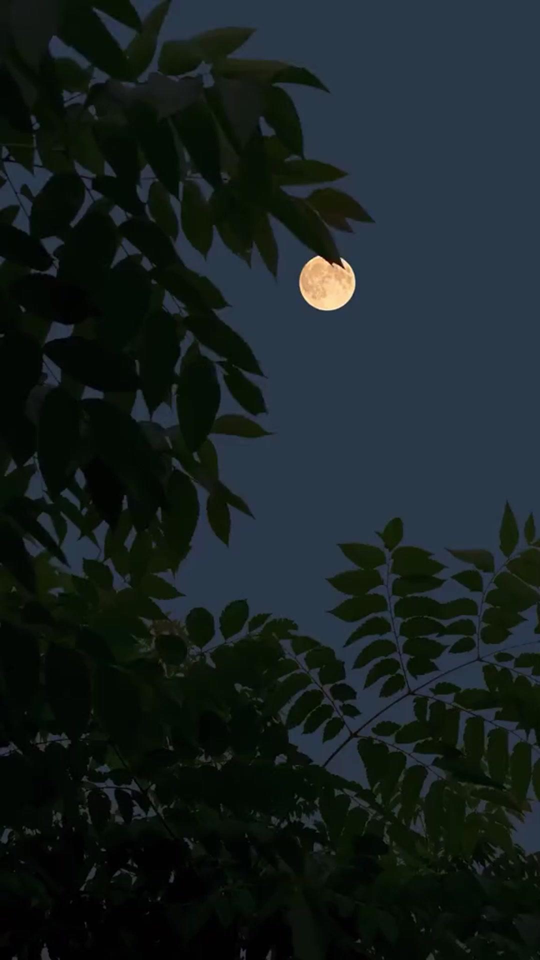 Oltre il Confine dell’Amore