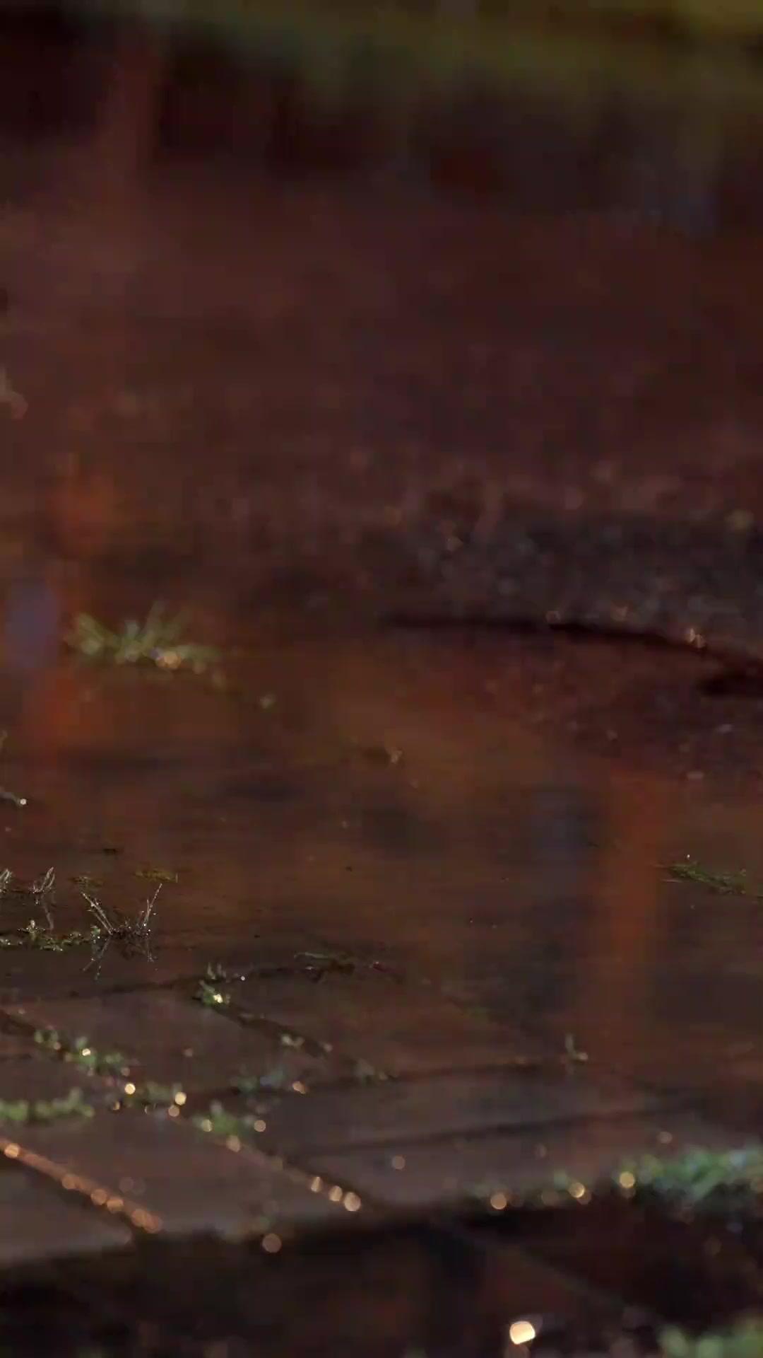 보름달 아래 그 밤