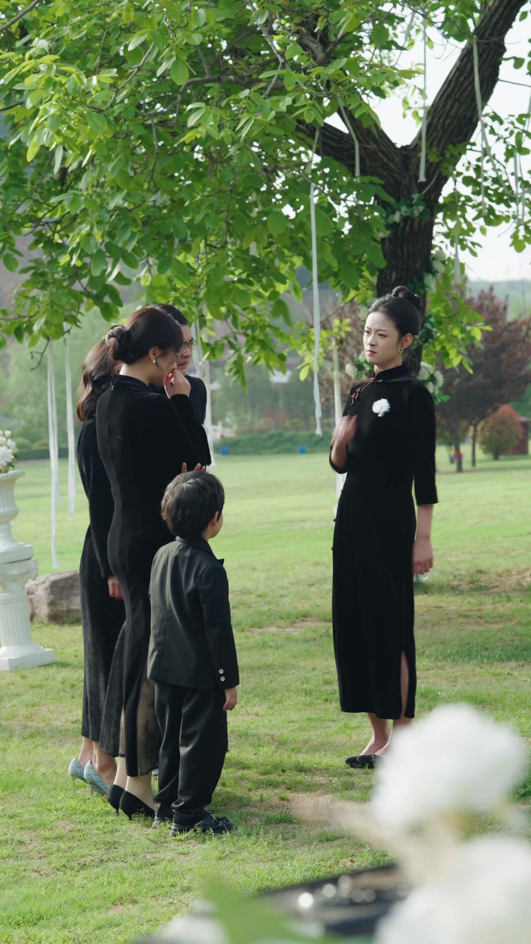 Plano da Viúva: Um Herdeiro Secreto