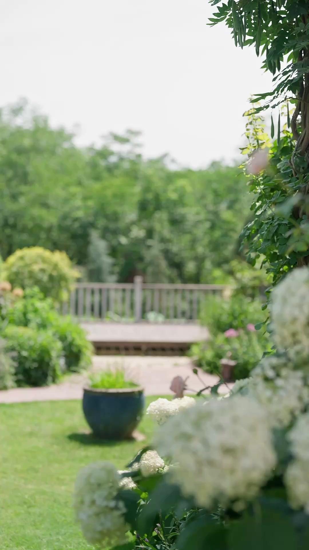 ELLE, N'EST PAS ELLE