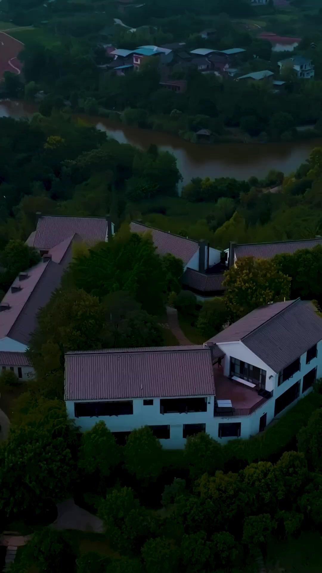 Unutuş Bahçesinde Açan Çiçek