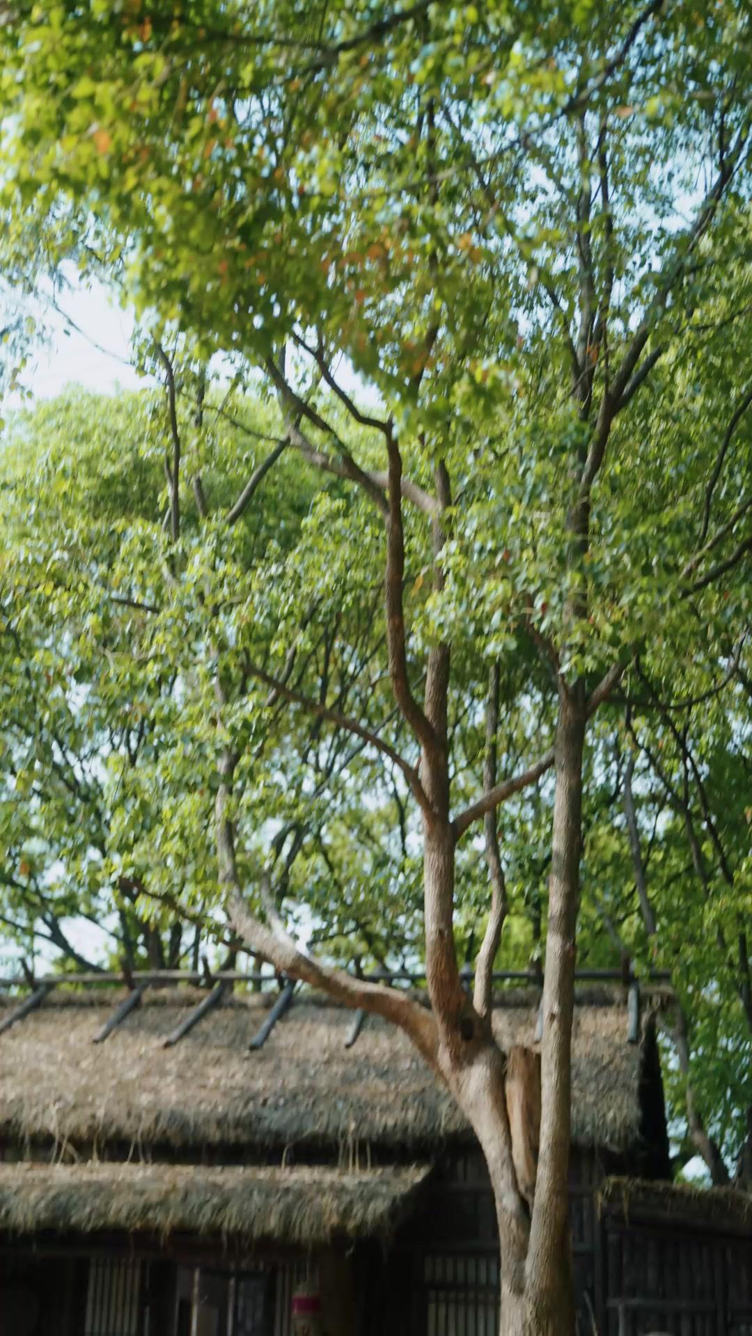 Dari Masa Depan, Istriku Pembunuh