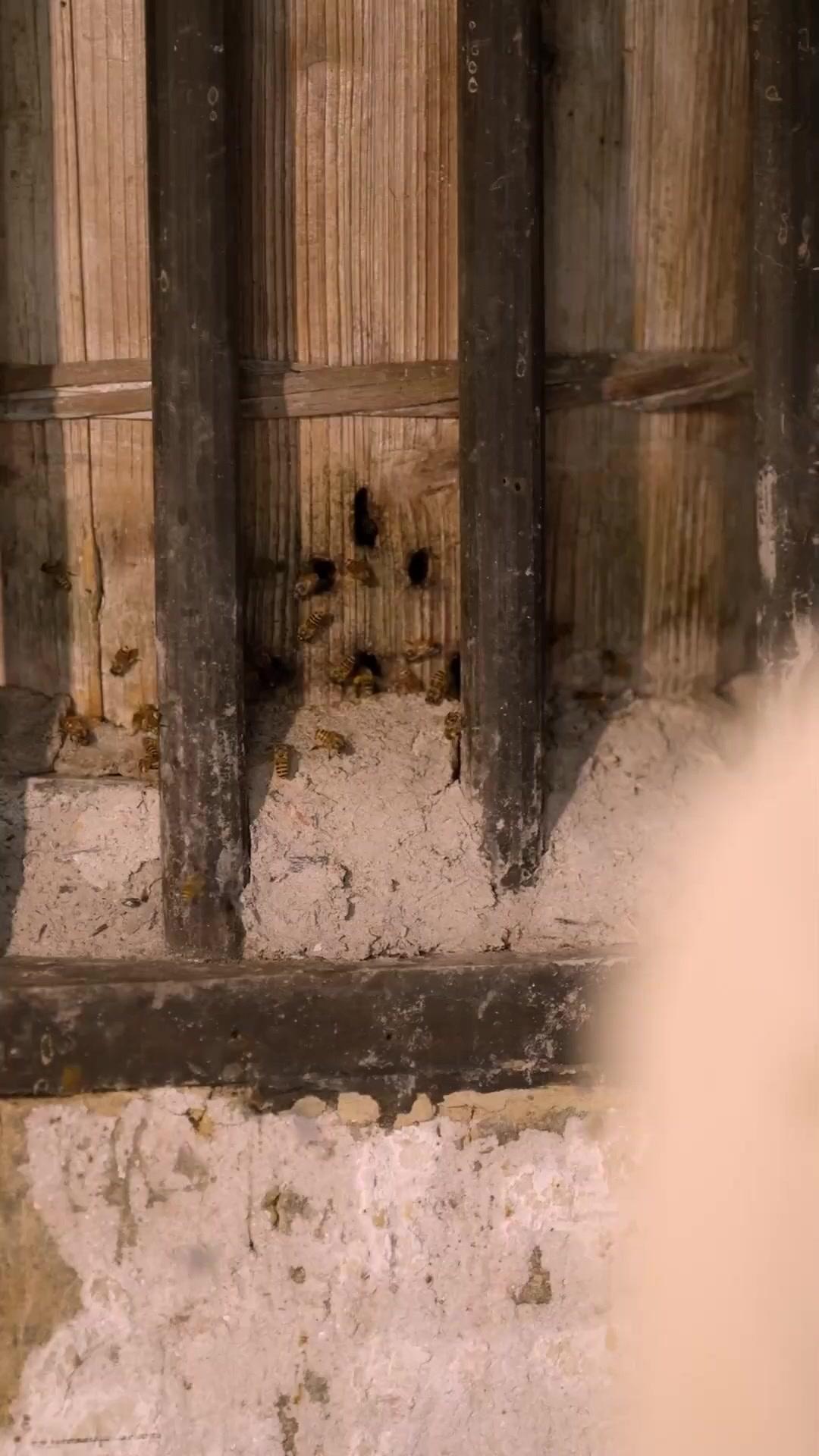 Cheat On Me, I Date Your Enemy