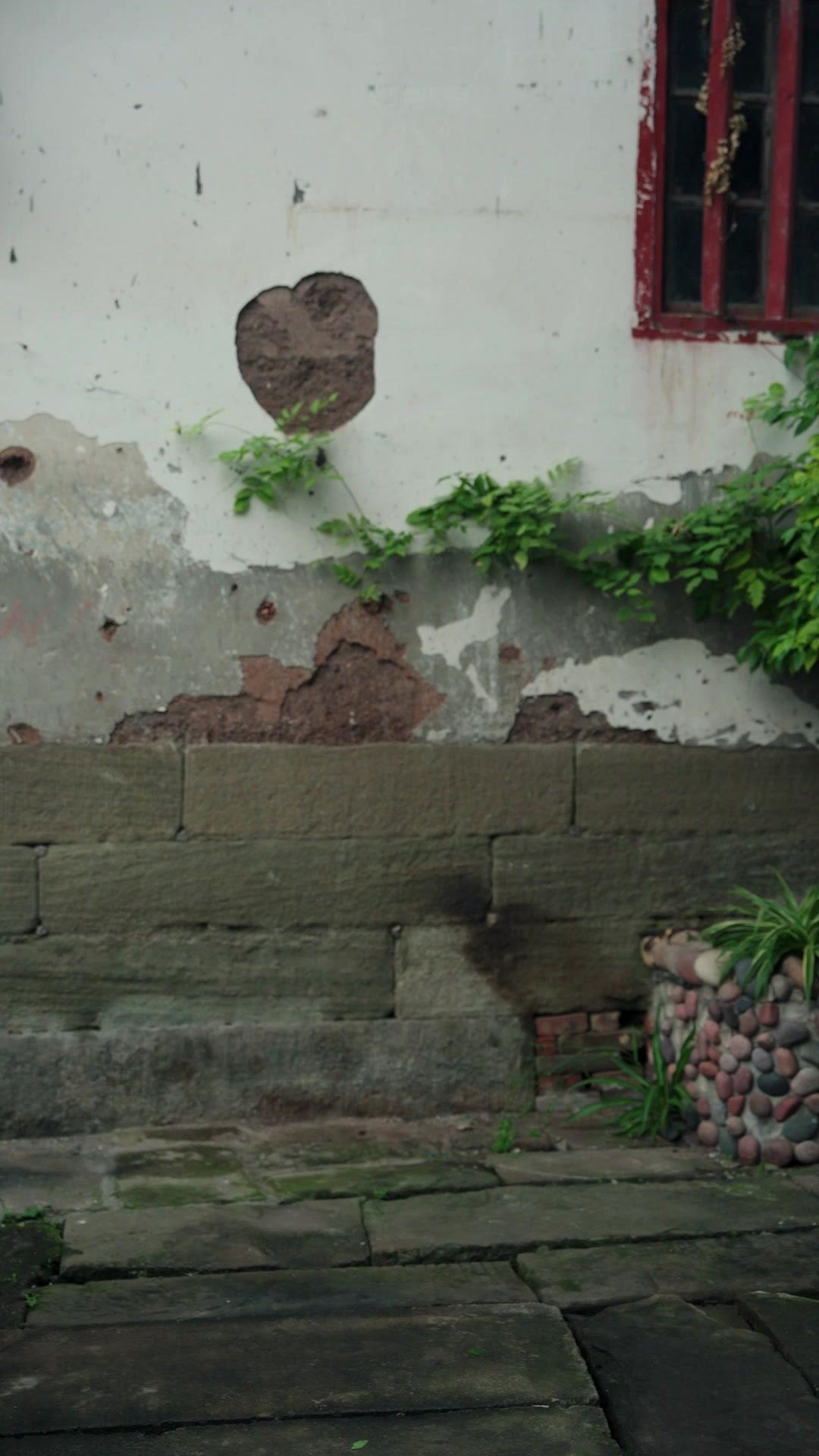  千年老祖在現代：開局認個曾孫女