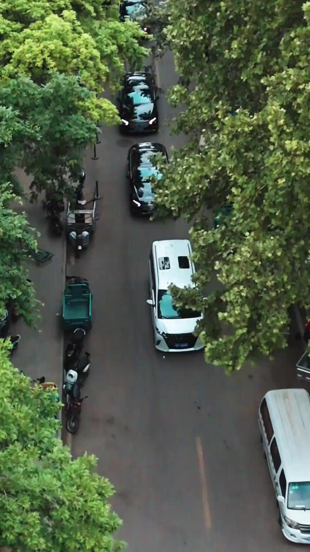 Papai Gélido, Não Fuja