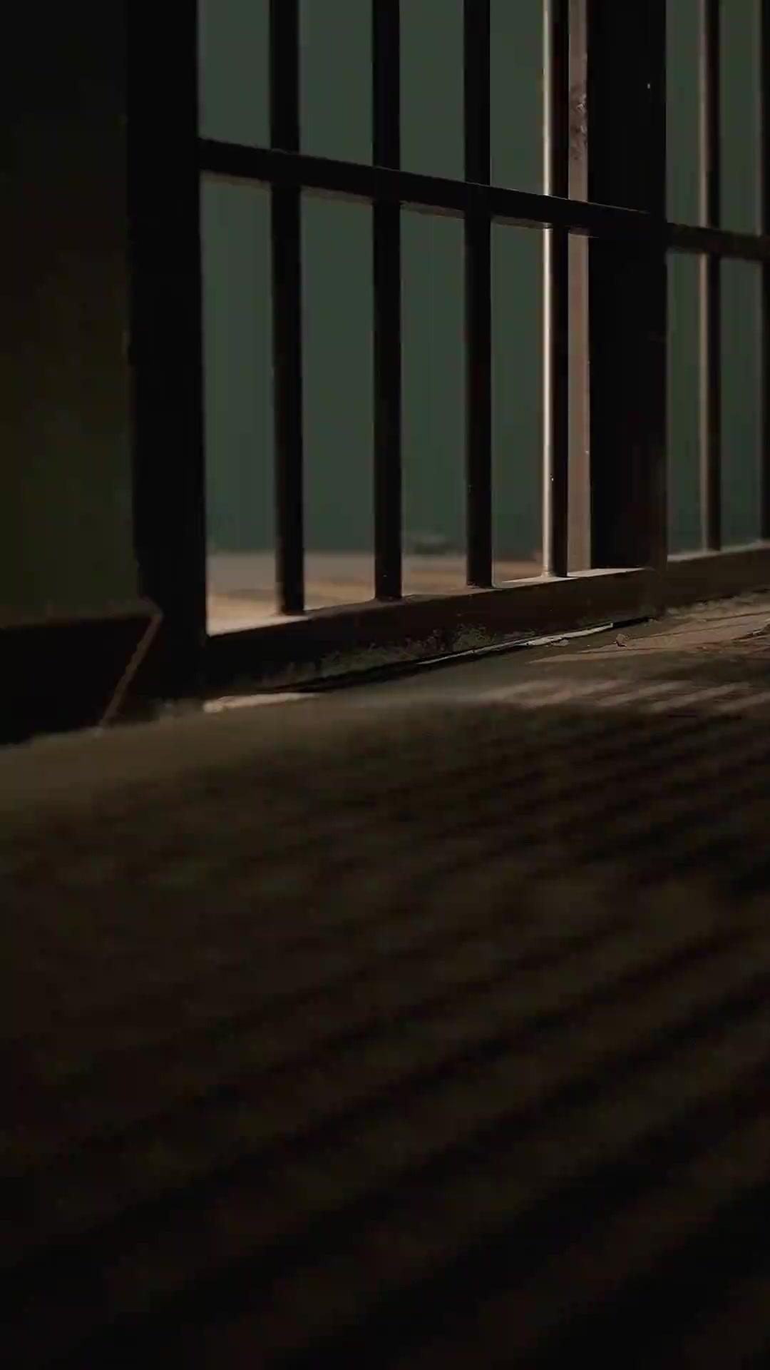 Chim Khách Về Tổ