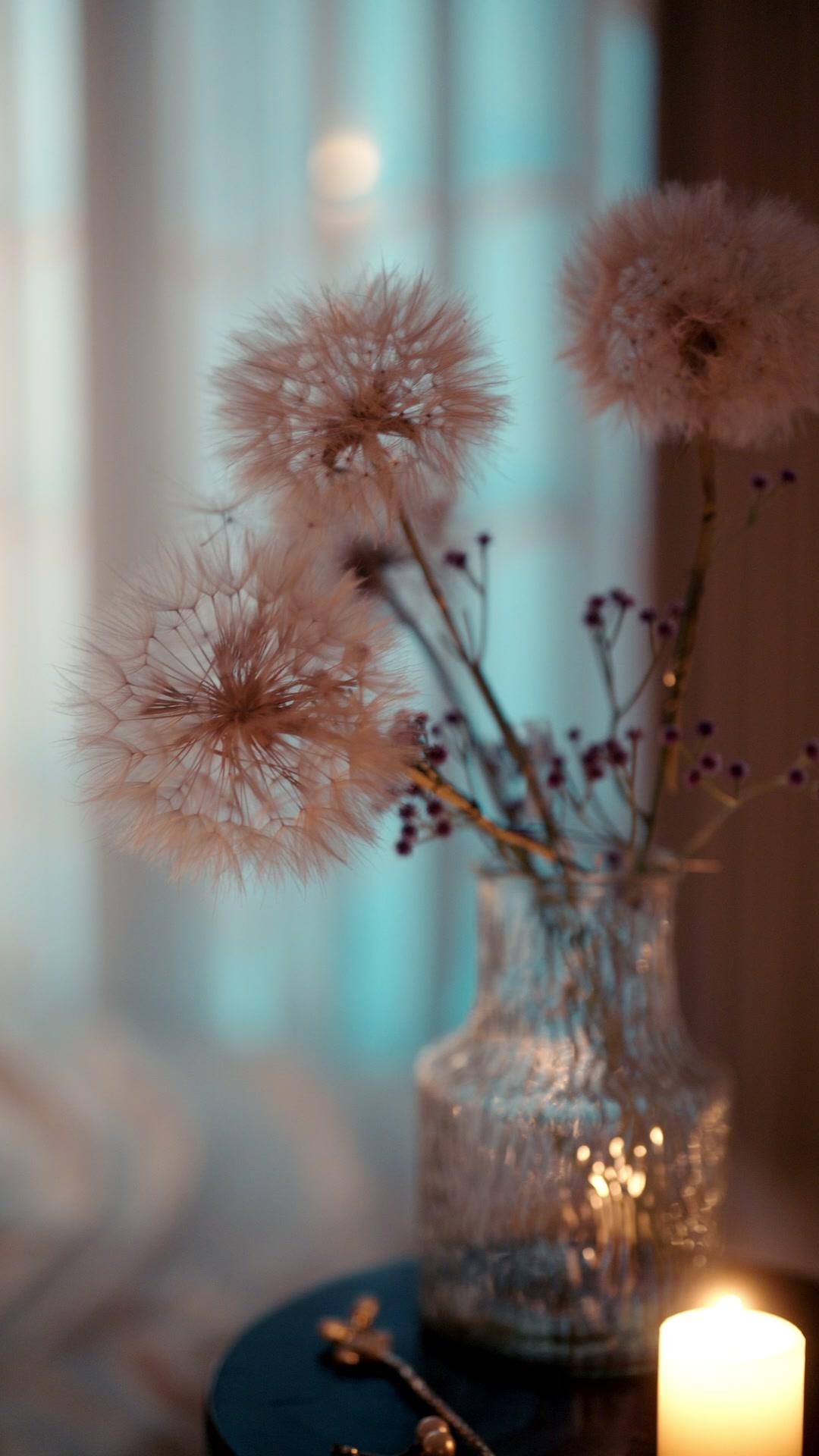 العاشق المهووس