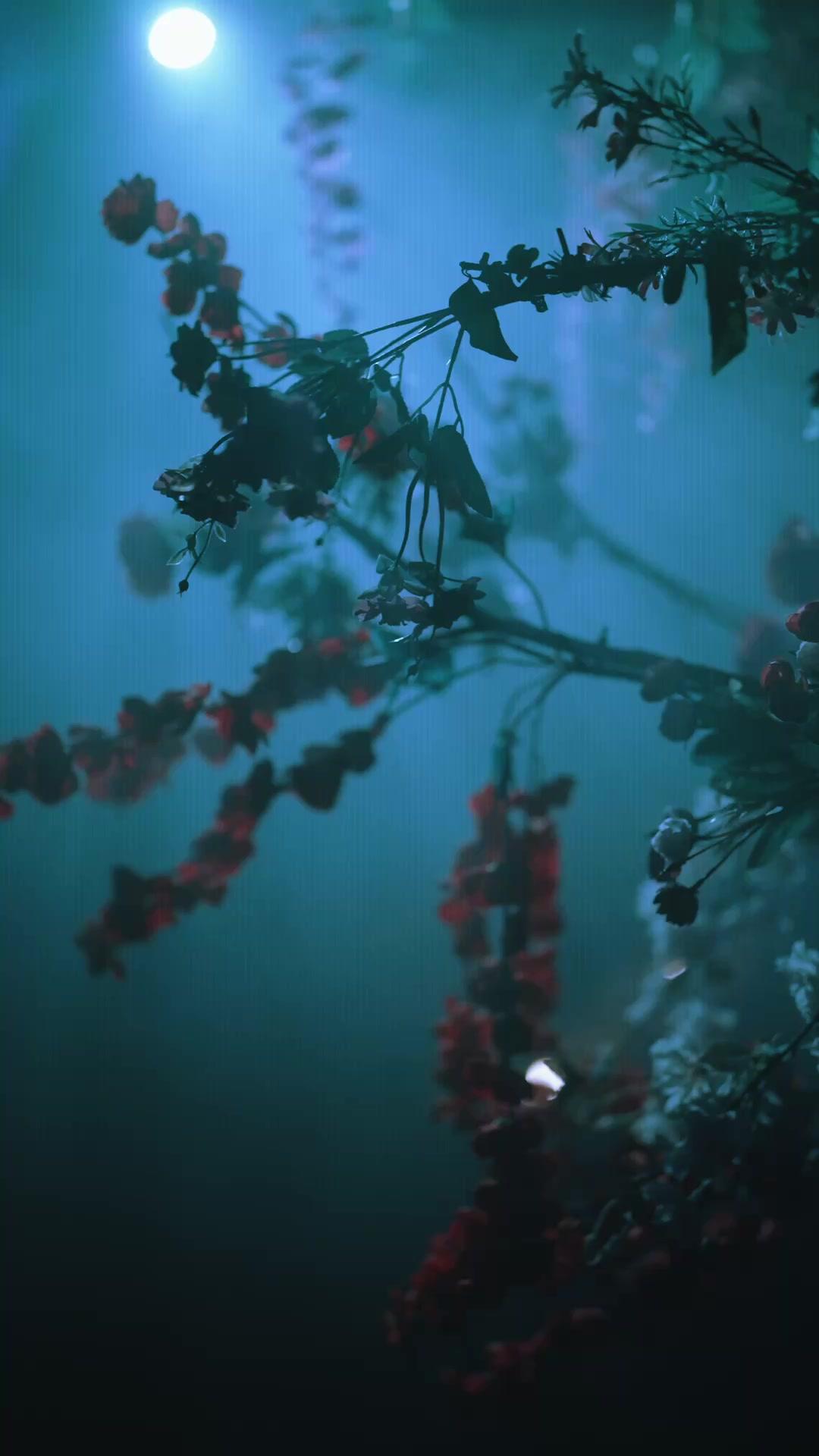 FLEUR DÉCHUE, ÂME EN COLÈRE