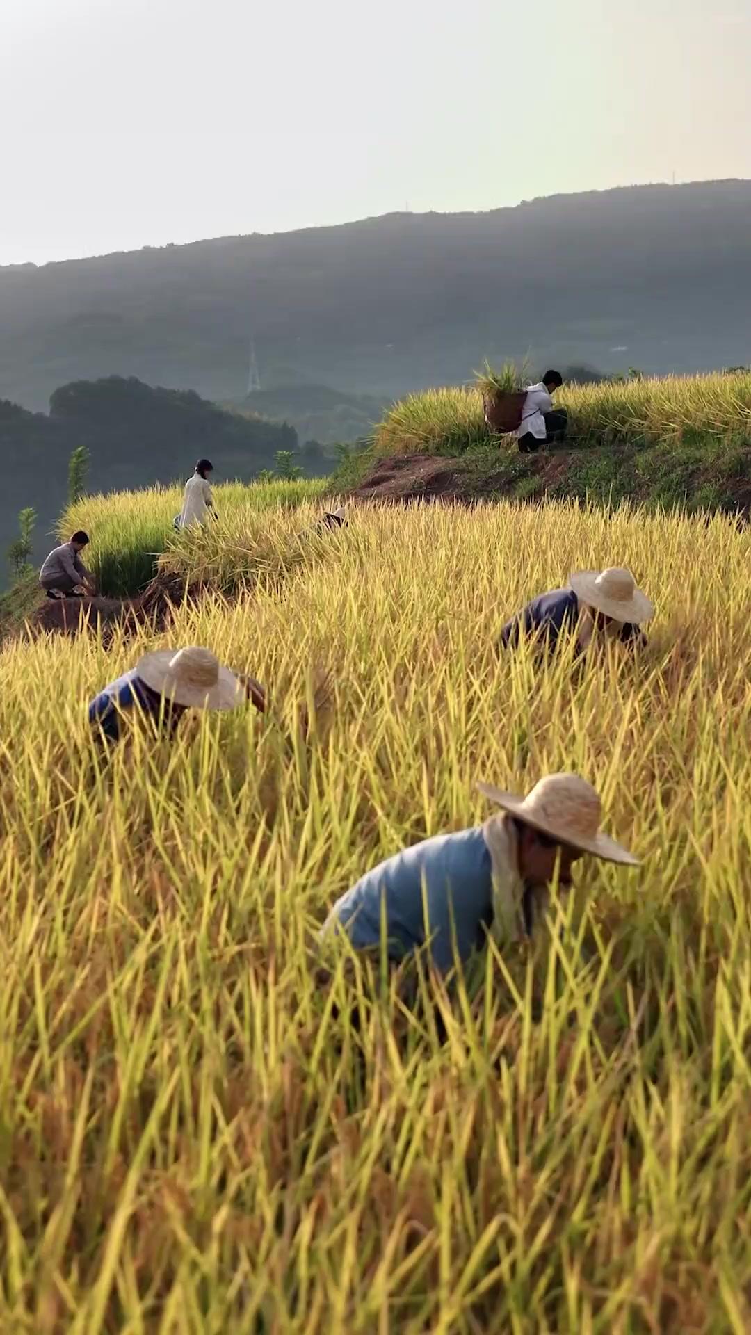 มองทิศเหนือคิดถึงทิศใต้