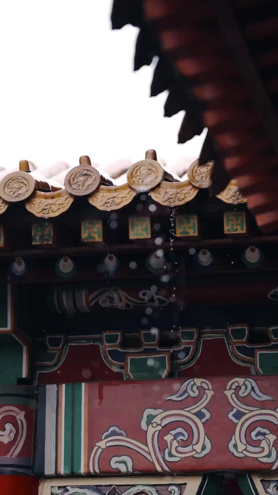 ดอกรักกลางหิมะ