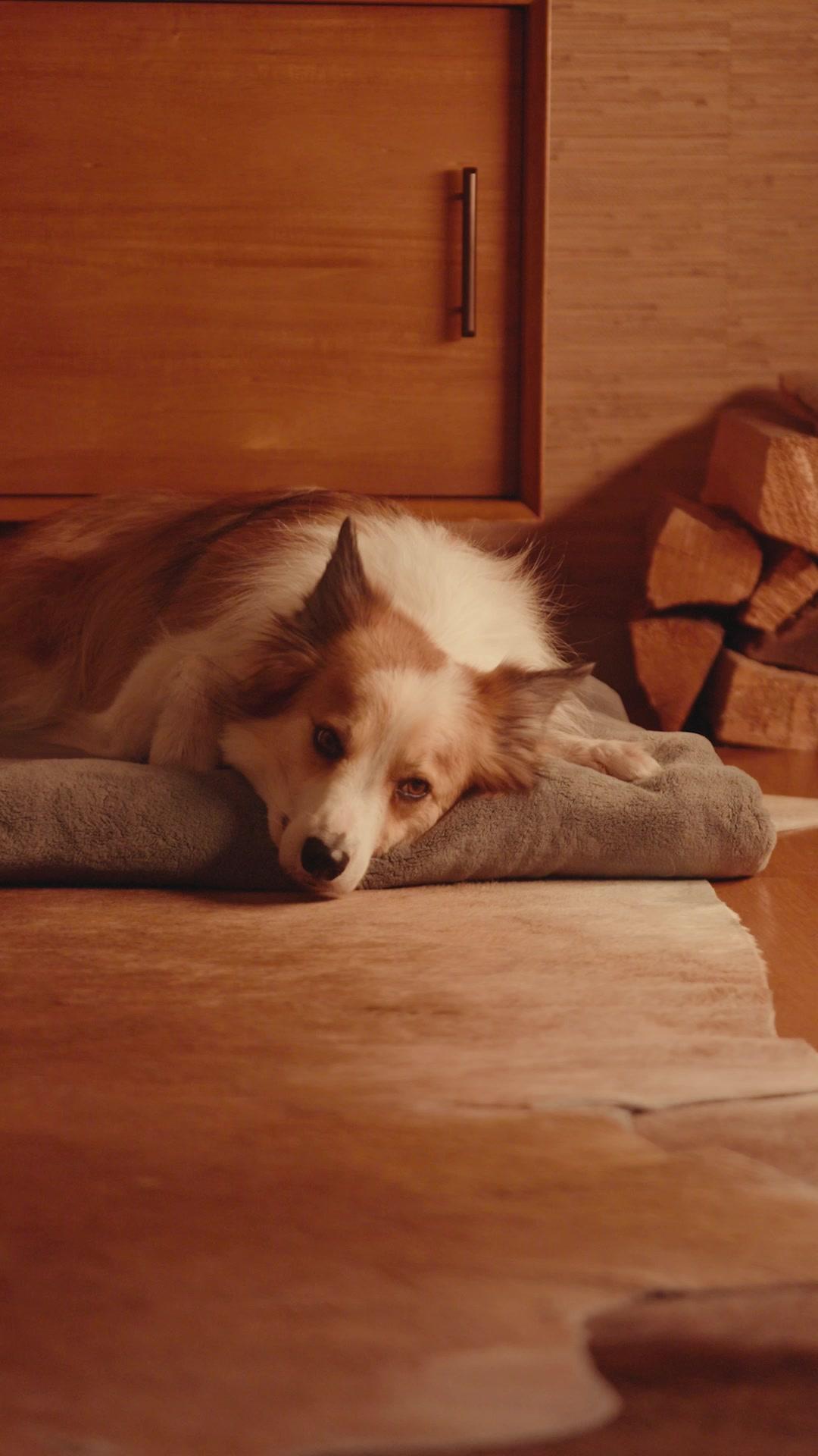 CUISINER POUR RENAÎTRE À L'AMOUR