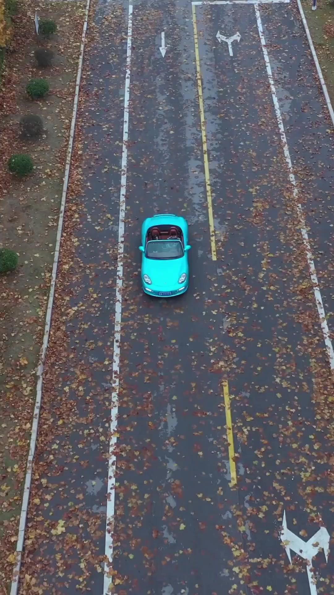 (Dubbed) Stay Away! She’s a Violent Psycho!