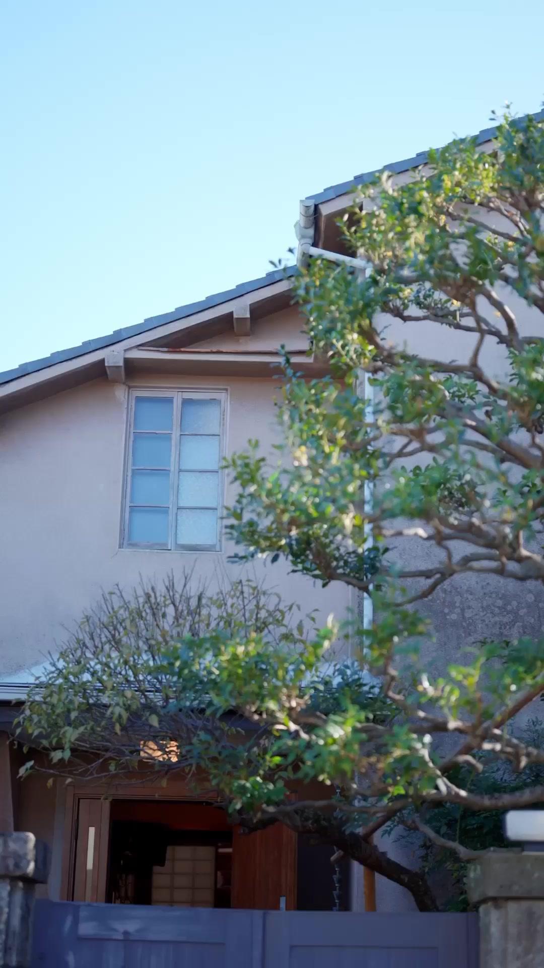 三年之期已到，恭迎東海林總歸鄉！