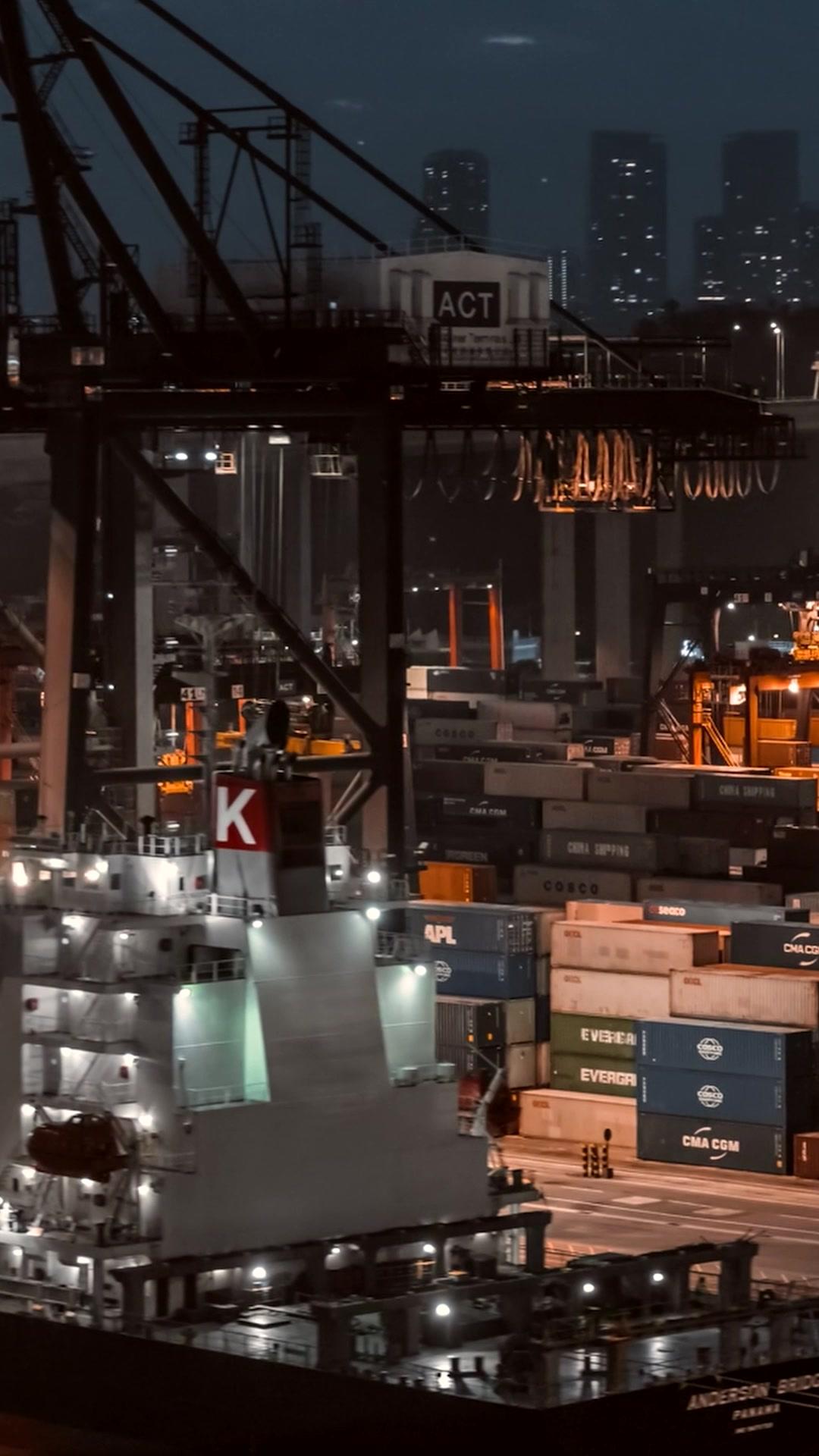 Rey bastardo de la jaula