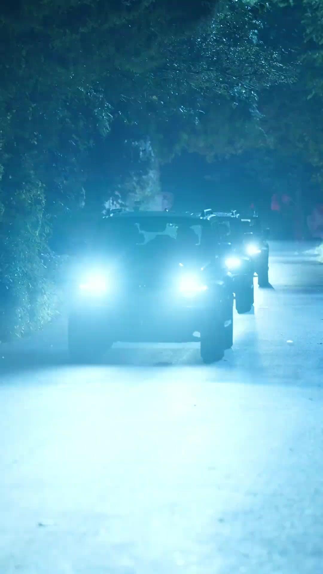 (Dubbed) Runaway Sisters, Marry Brothers?