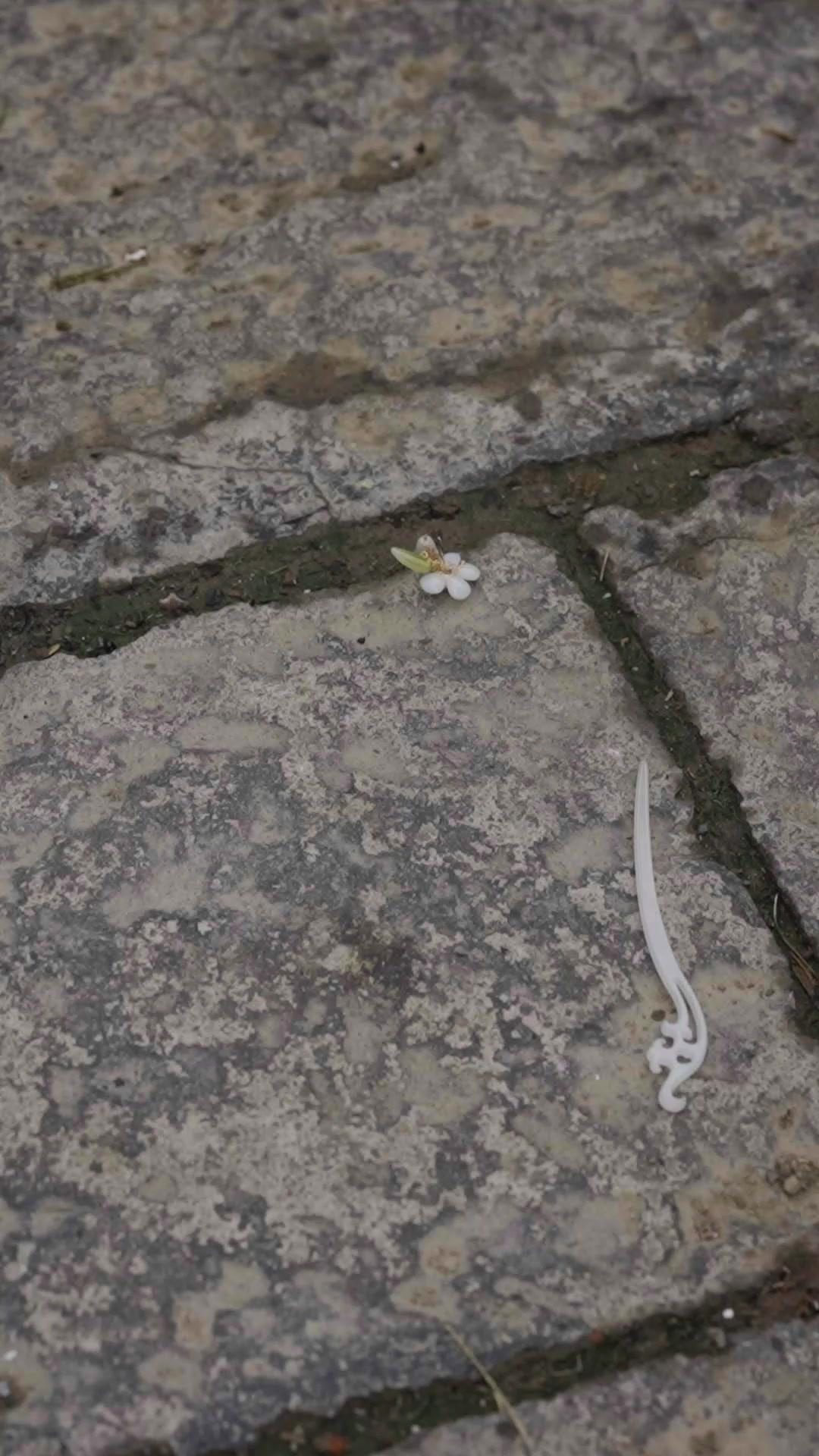 Cinta palsu bikin rusuh