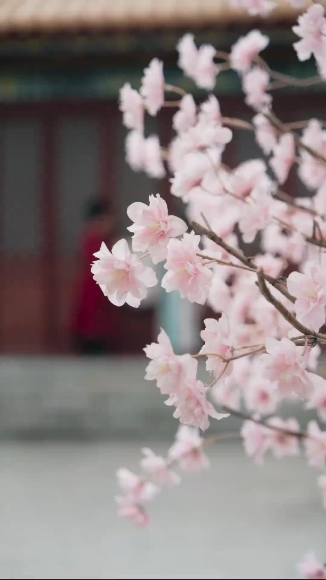 İmparatoriçeden Üvey Anneye