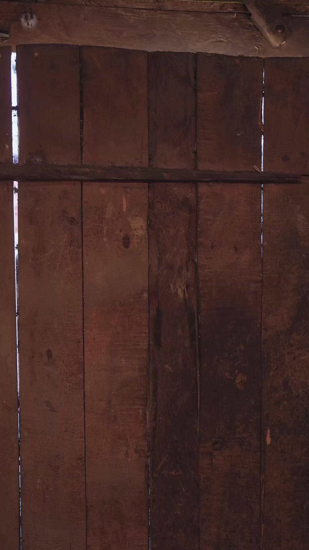 恨不相逢未嫁時