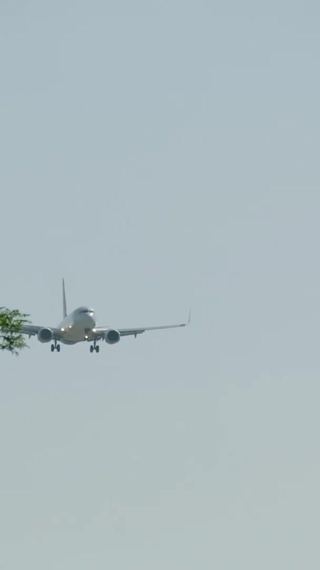 全球首富的鄉下小嬌妻