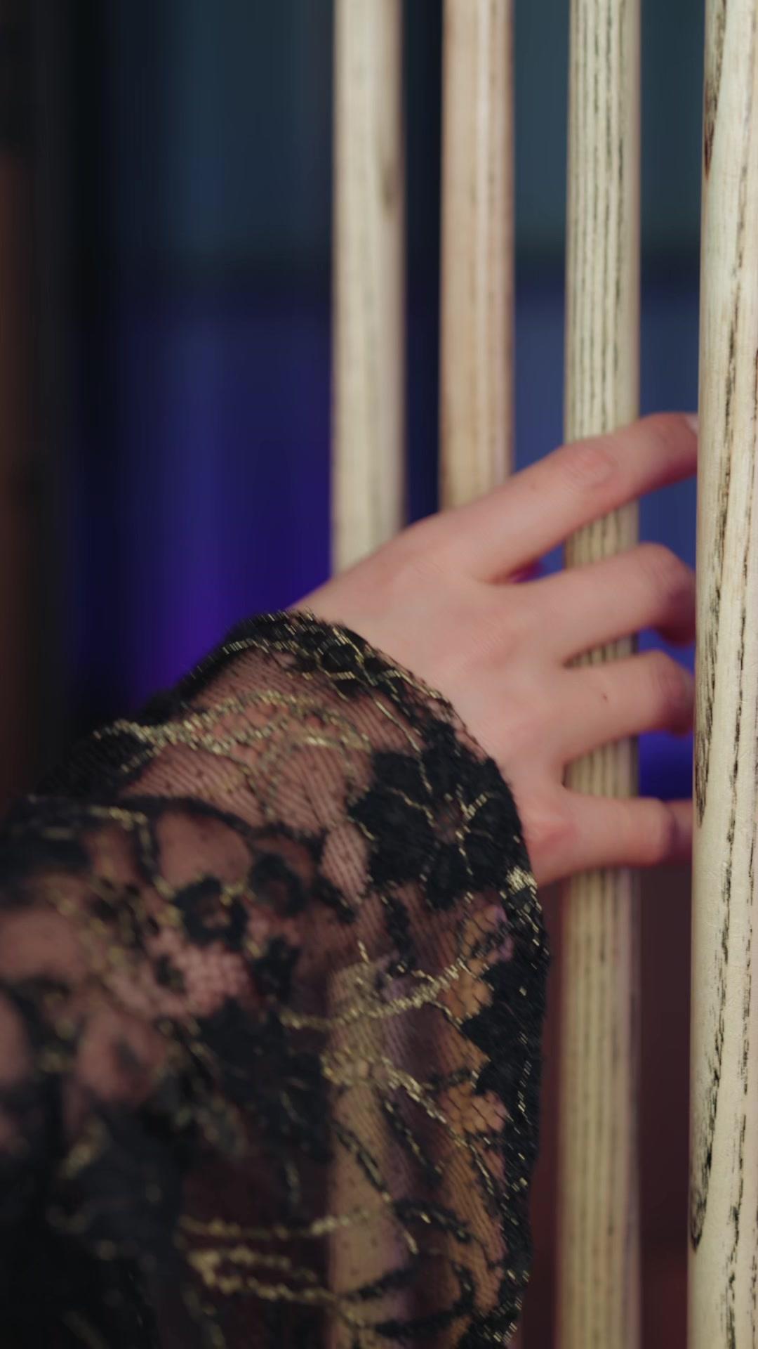 Plano da Viúva: Um Herdeiro Secreto