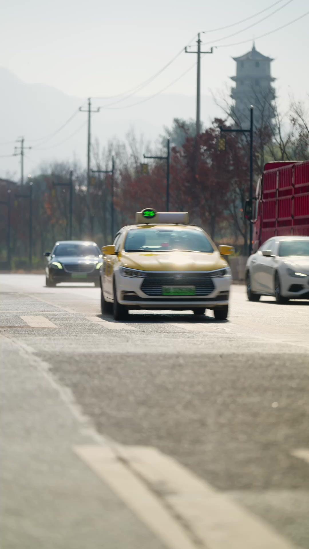 세 남자의 포식자