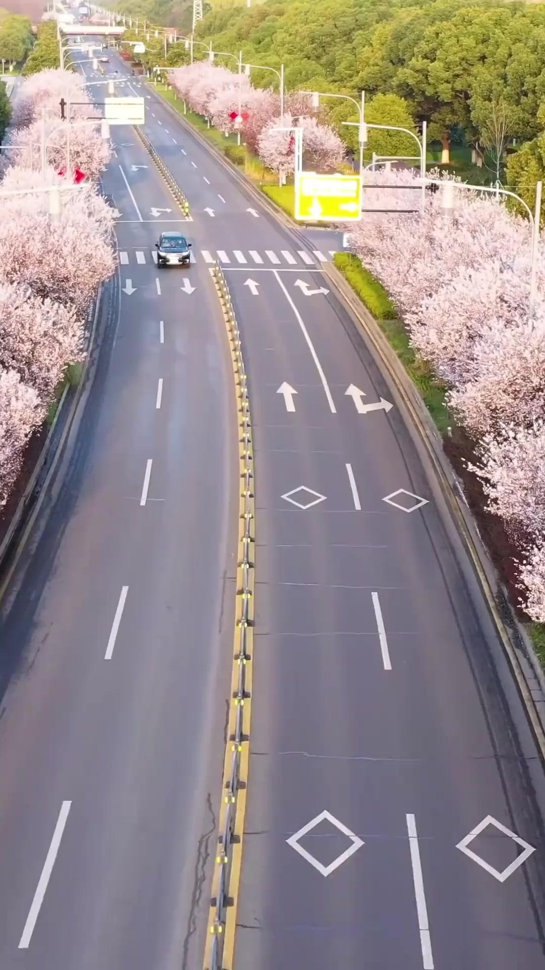 아빠, 장가 잘못 갔어