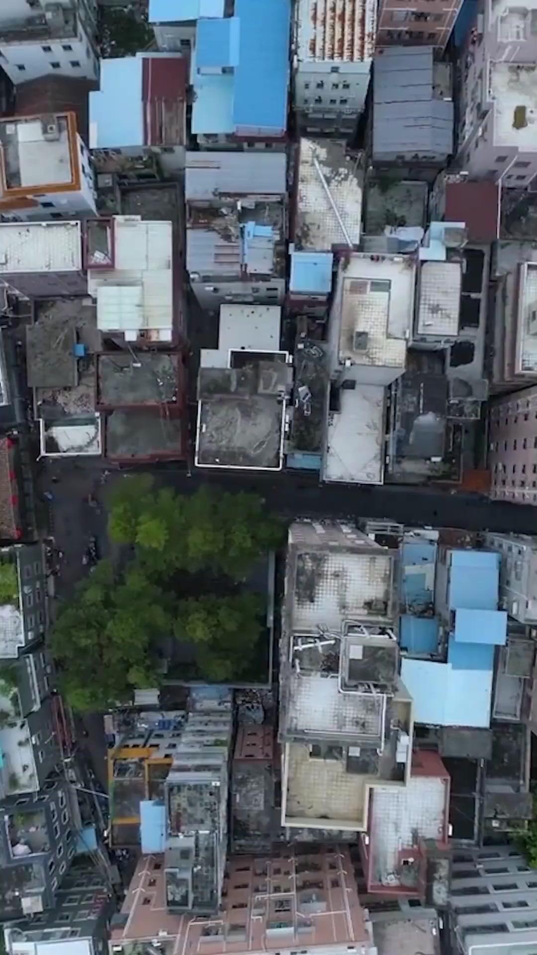 La verdadera heredera regresa con el poder