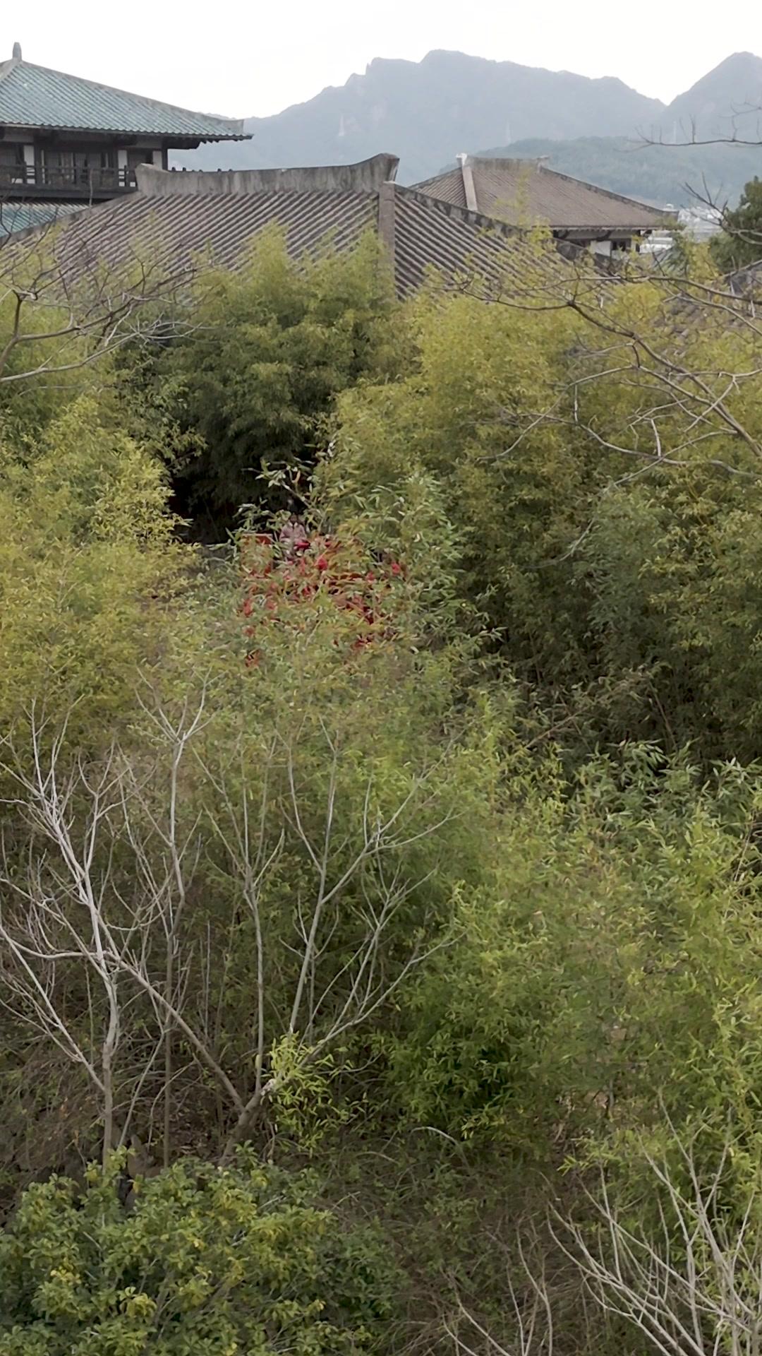 Wanita Desa itu Seorang Ratu 