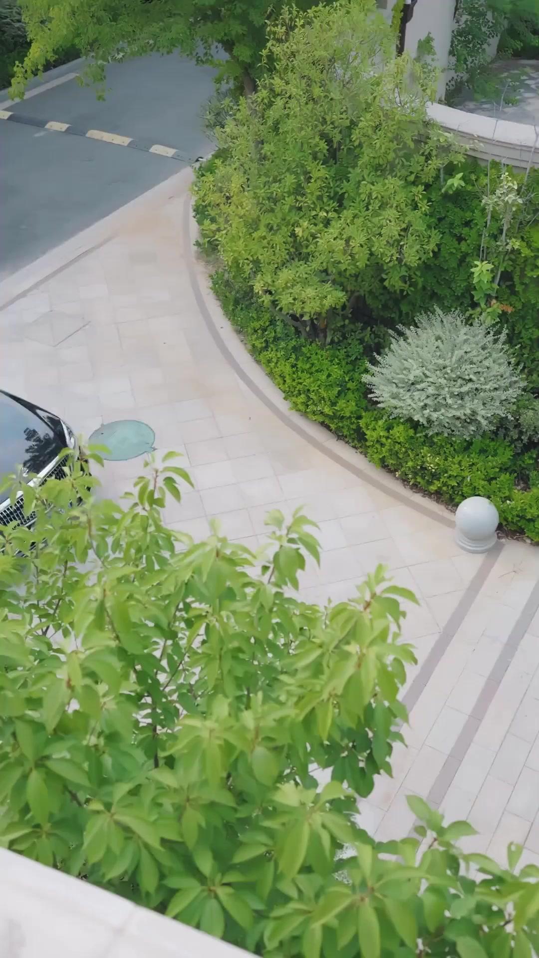 Dad’s Back! Kneel, Fakers!