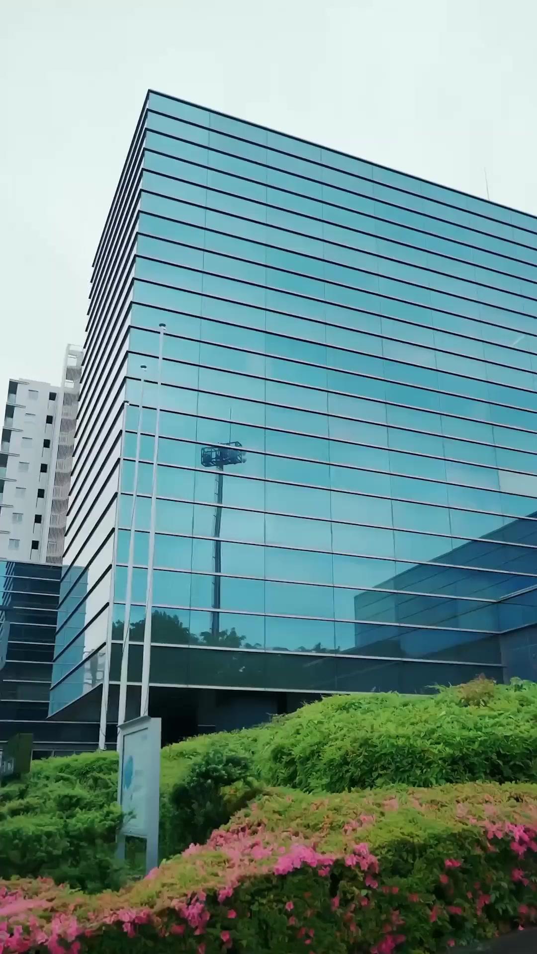 The Grandma Everyone Kneels To