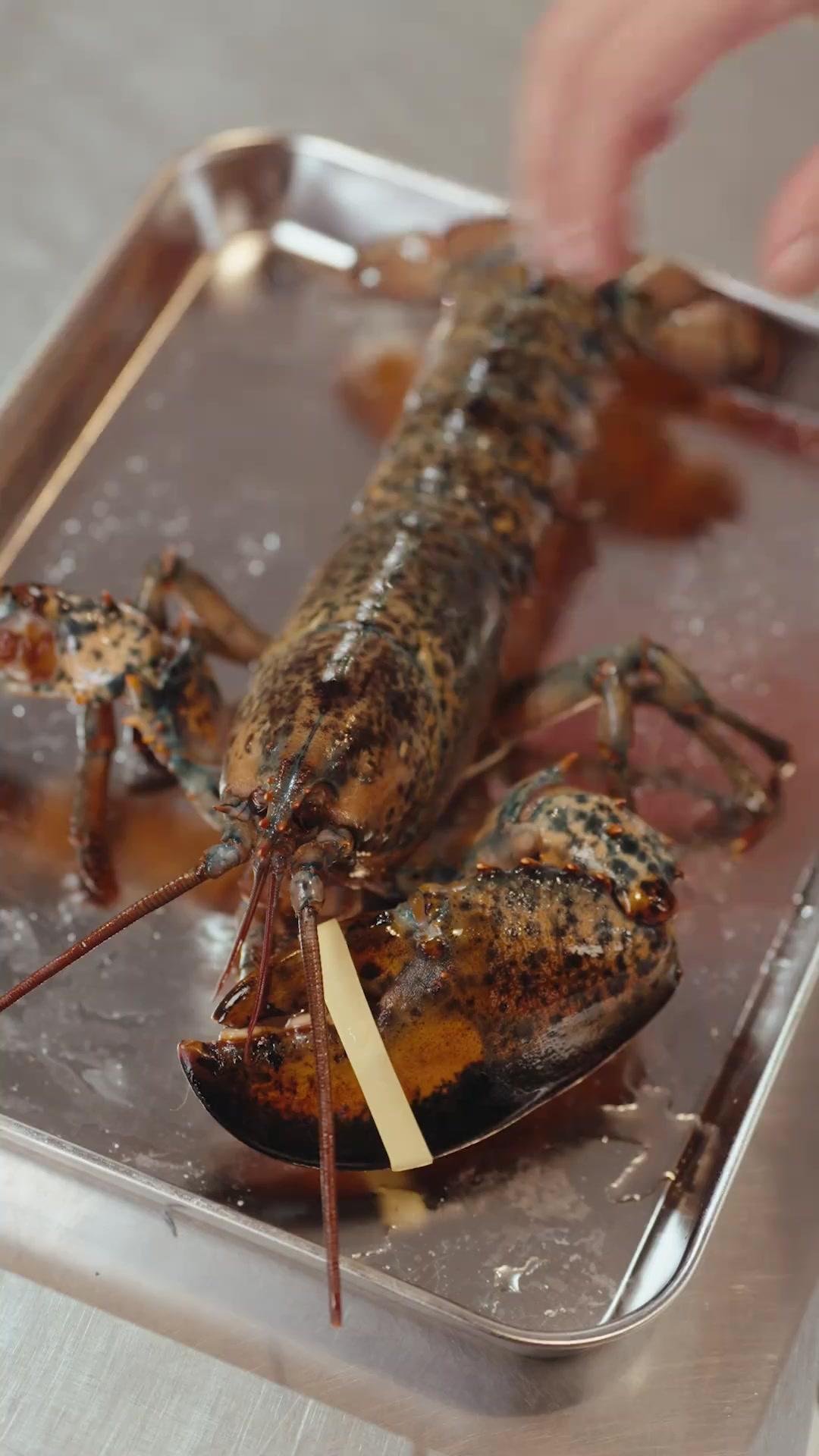 (Dublagem)Na Ponta da Faca: O Retorno do Rei da Culinária