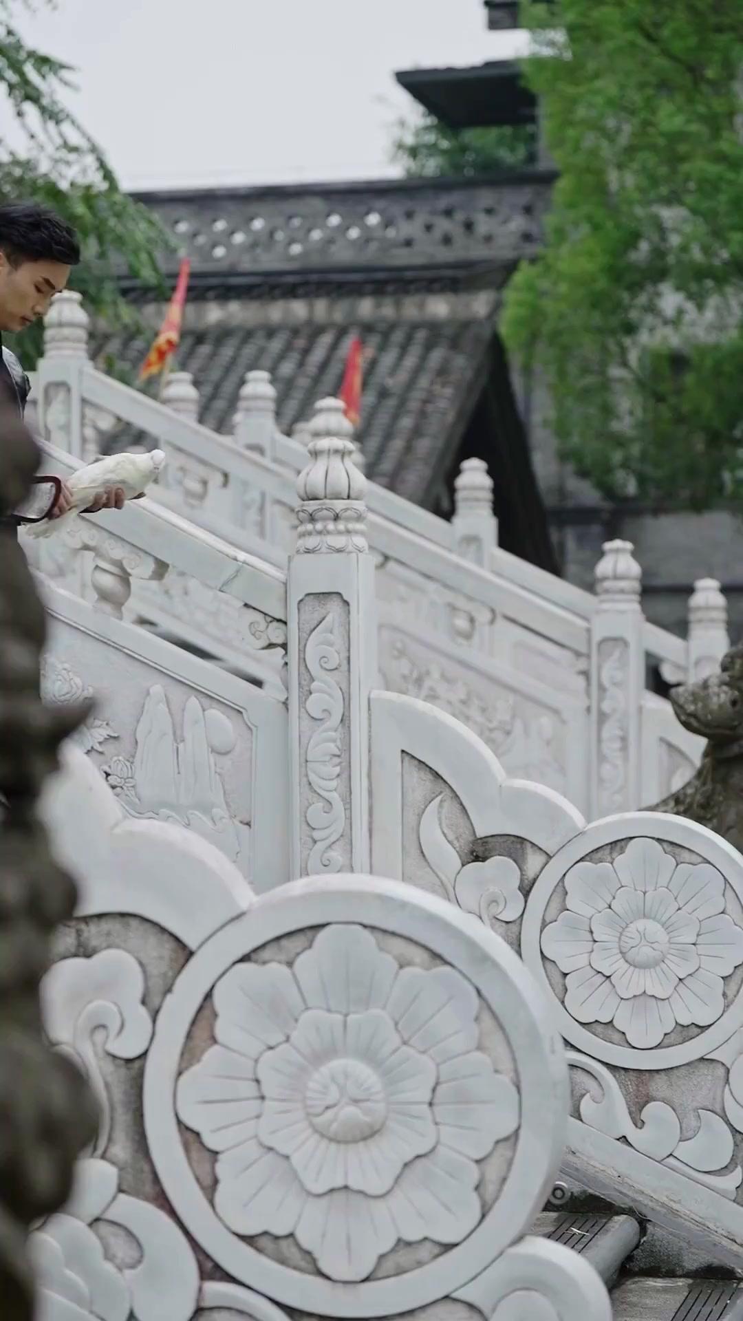 바람에 물든 꽃