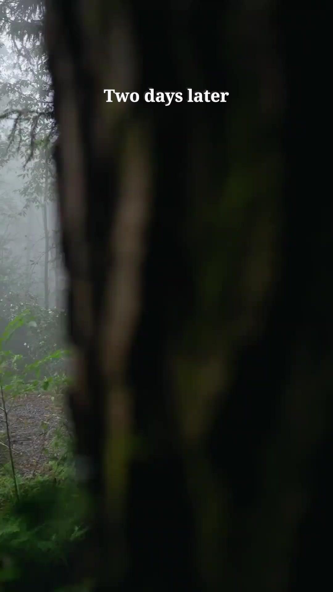 (Dubbed) My Cook Father is A Martial Master?