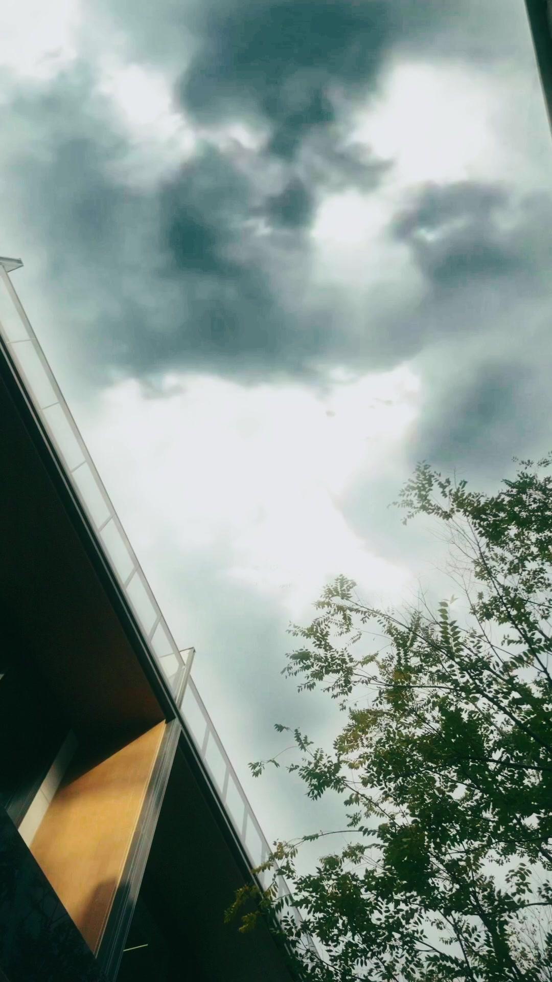 閻王下山：錯把龍婿當廢婿