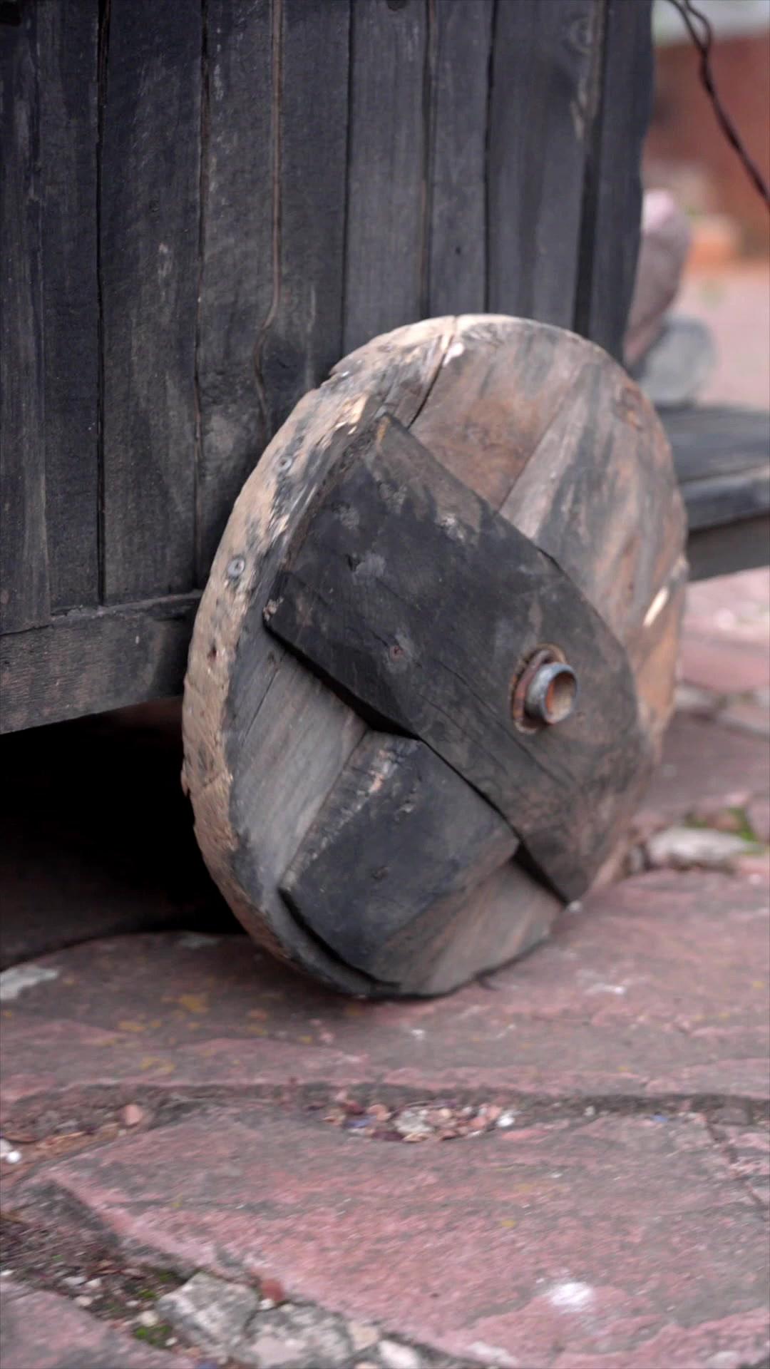 FLORAISON EN PLEIN ÉTÉ 