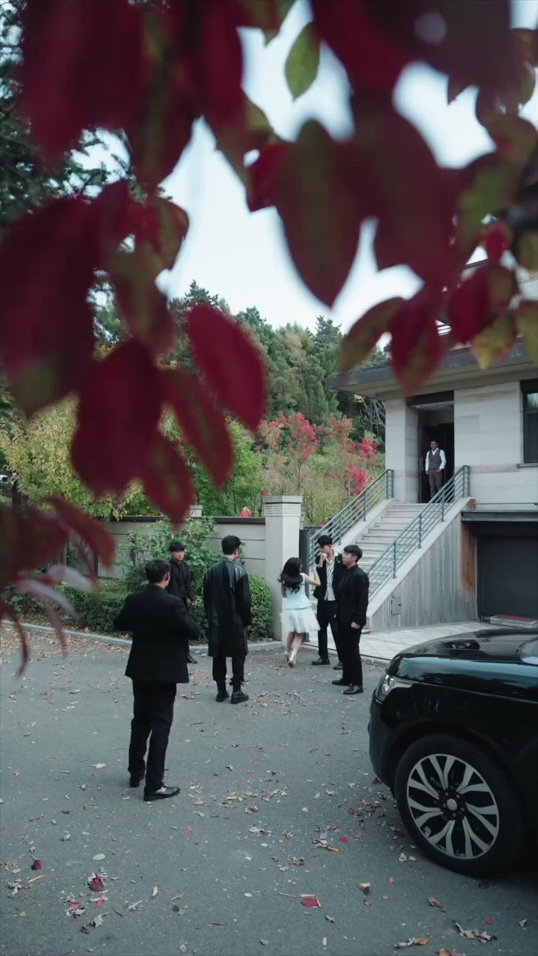 무적 기린, 가문을 접수하다