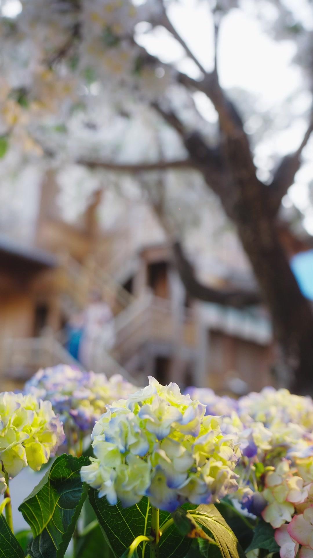 Malam Itu Bersama Sang Adipati