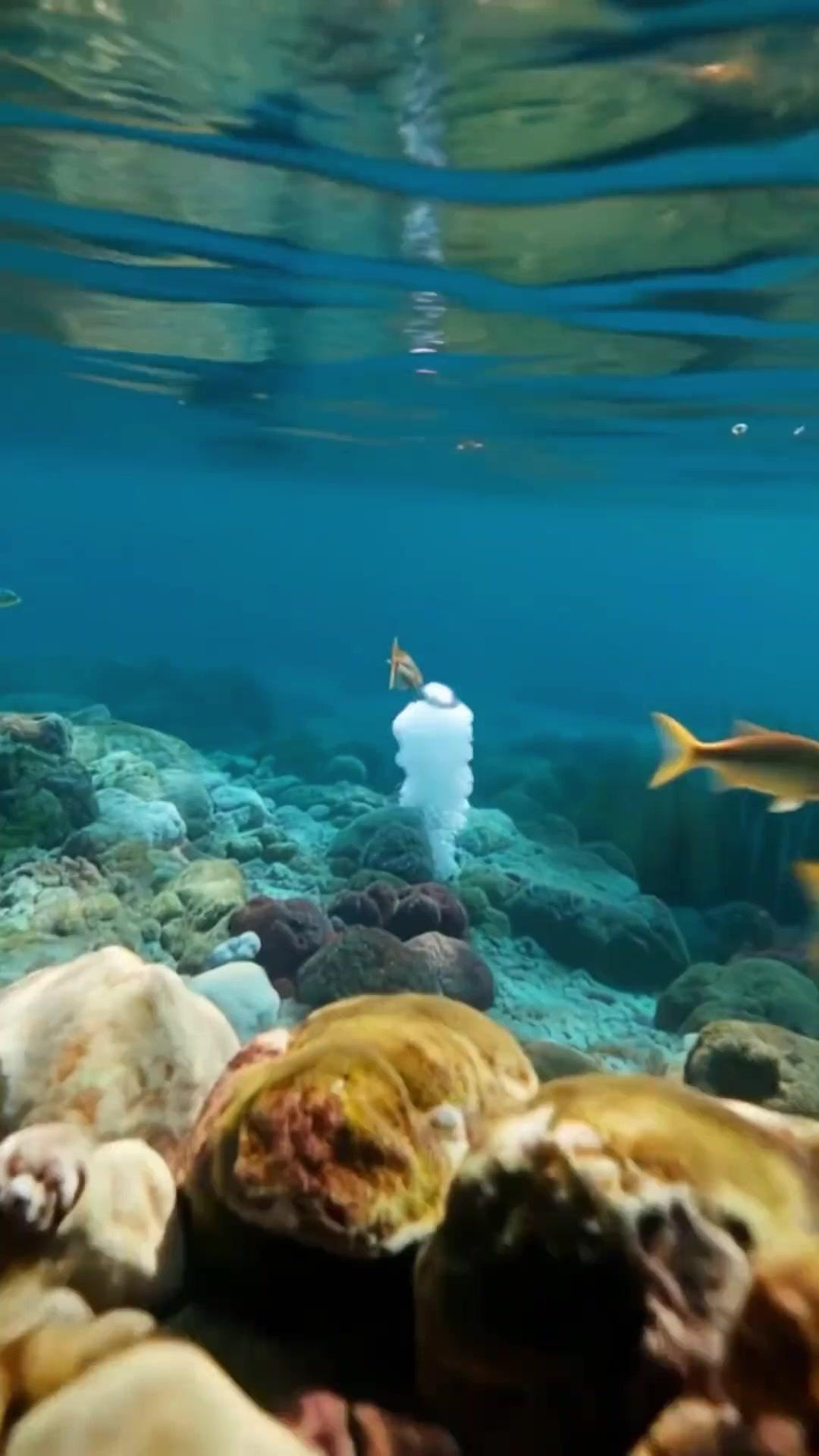 Da Morte à Evolução: O Monstro do Lago