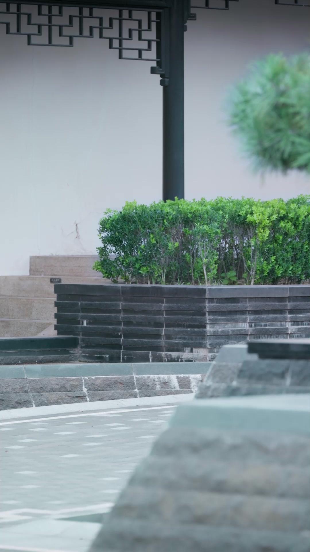 Hidden Immortal: I Became Her Bodyguard