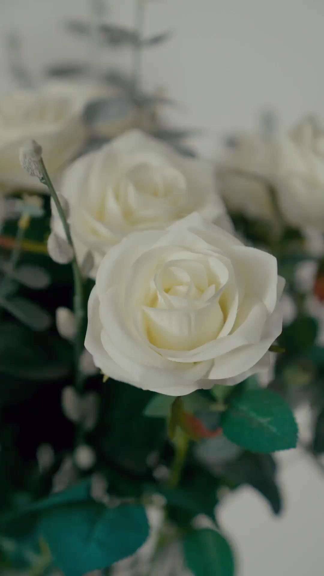 لقد جاء السيد المناسب