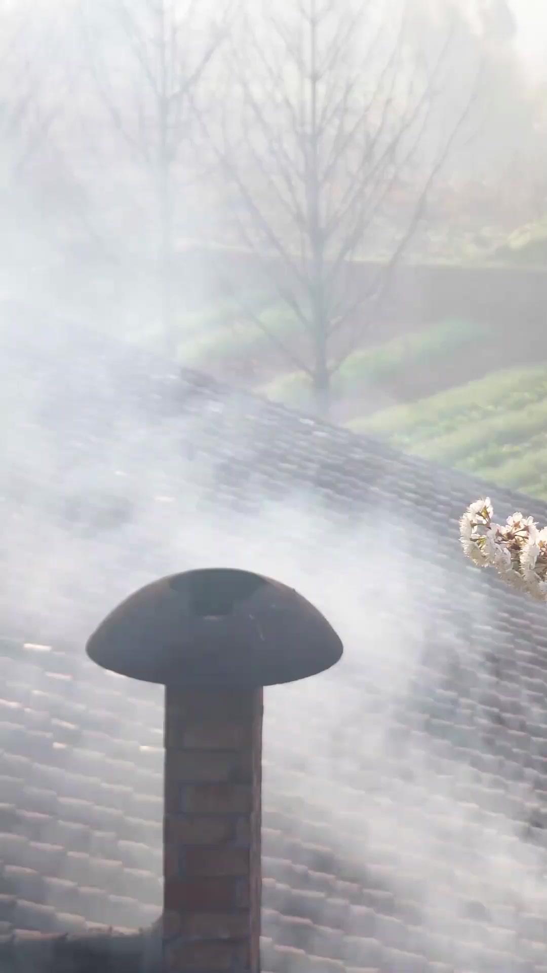 Renací para darle todo a mi hija