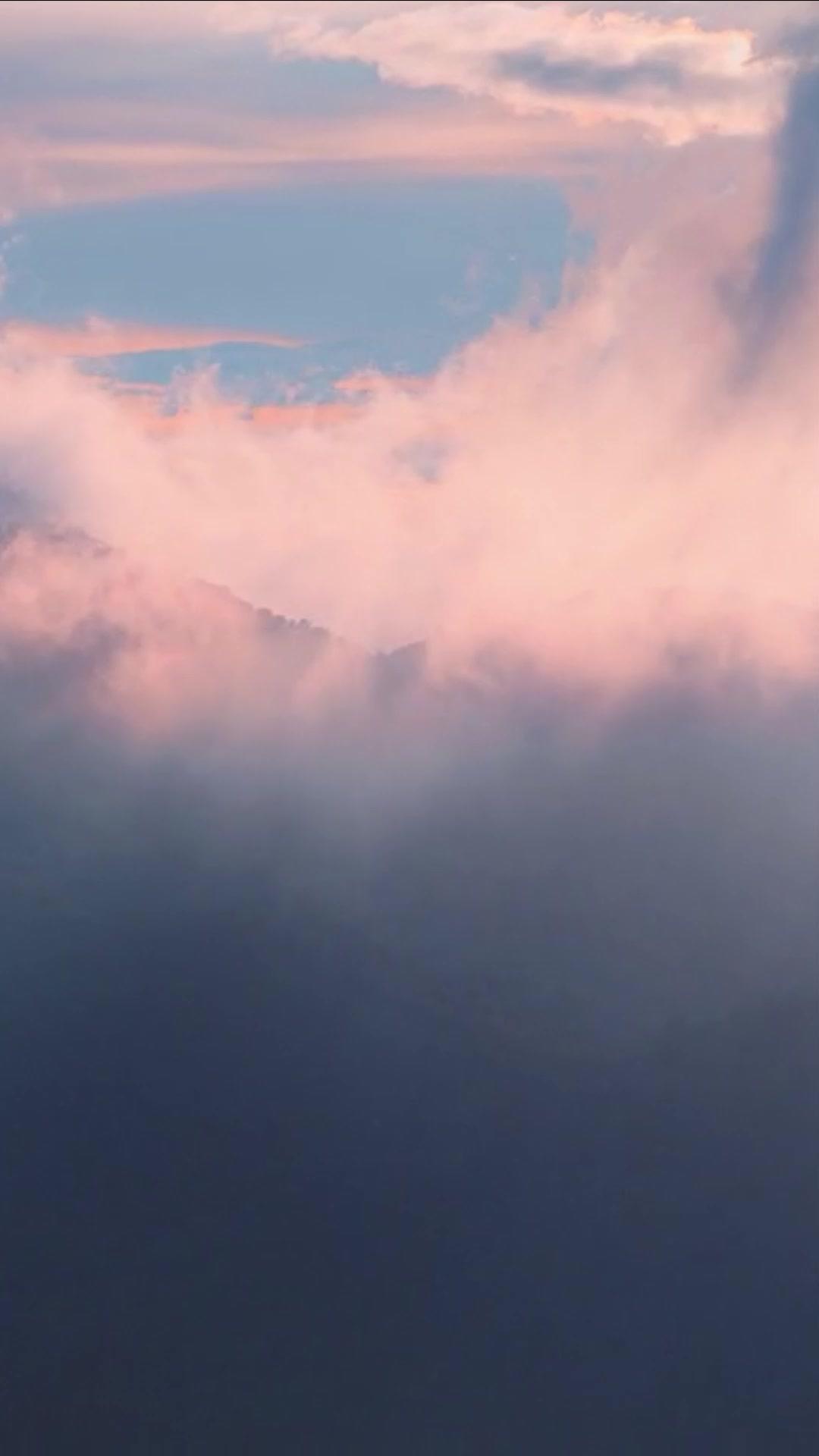 L'AMOUR PIÉGÉ DES JUMELLES