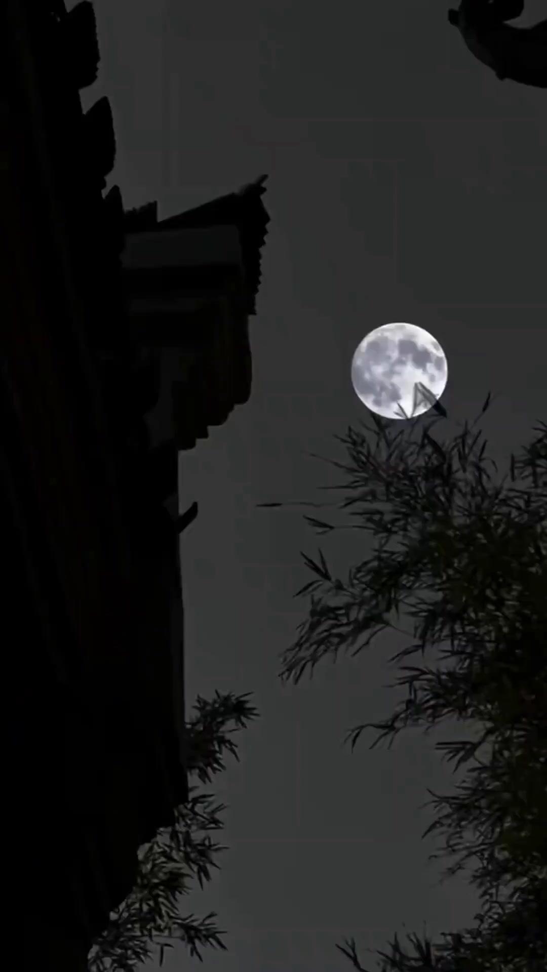 (Sulih suara) Dengan Sistem, Aku Besarkan Putriku