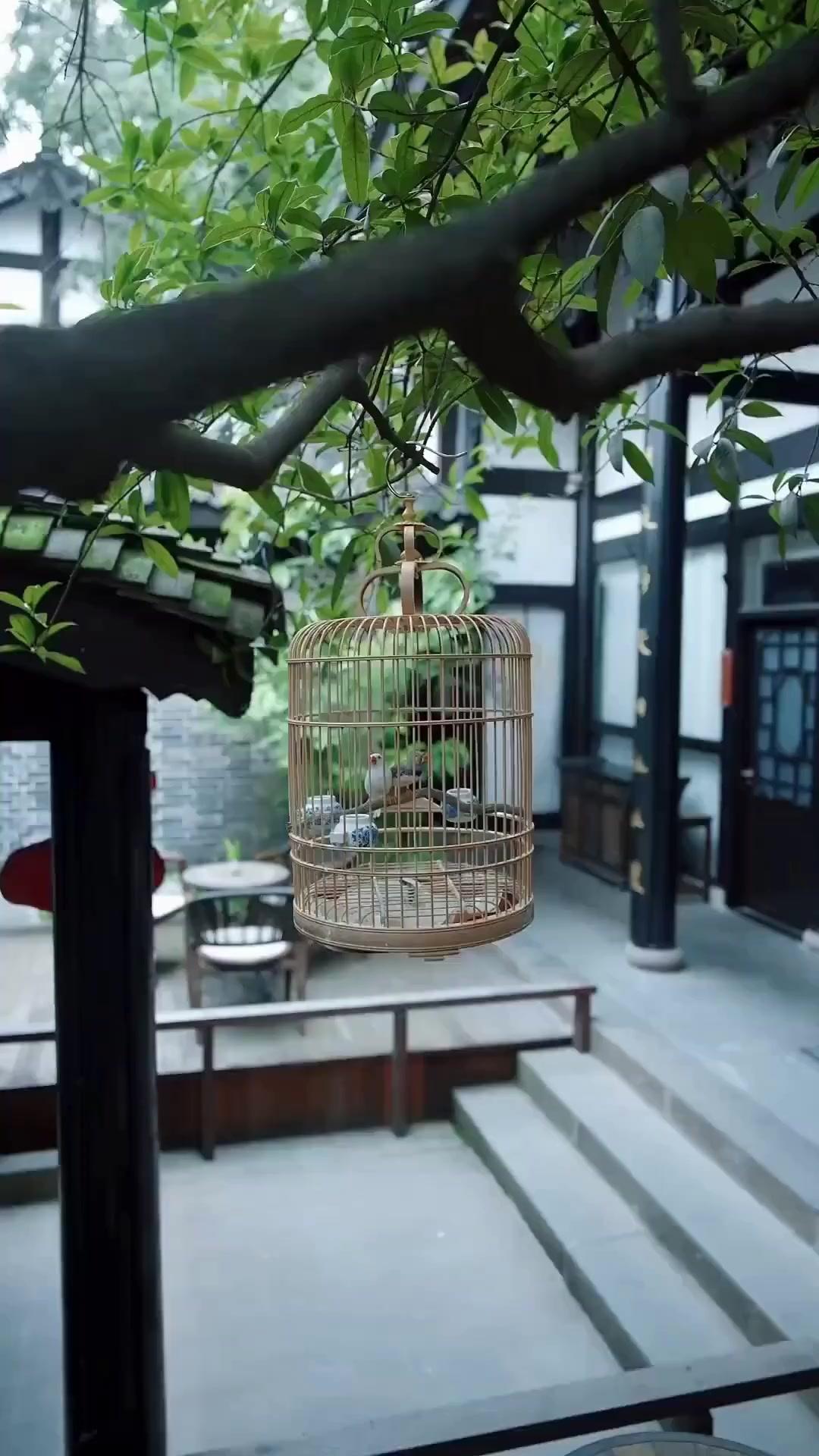 (พากย์เสียง)ใครกันแน่ที่คุมเกม