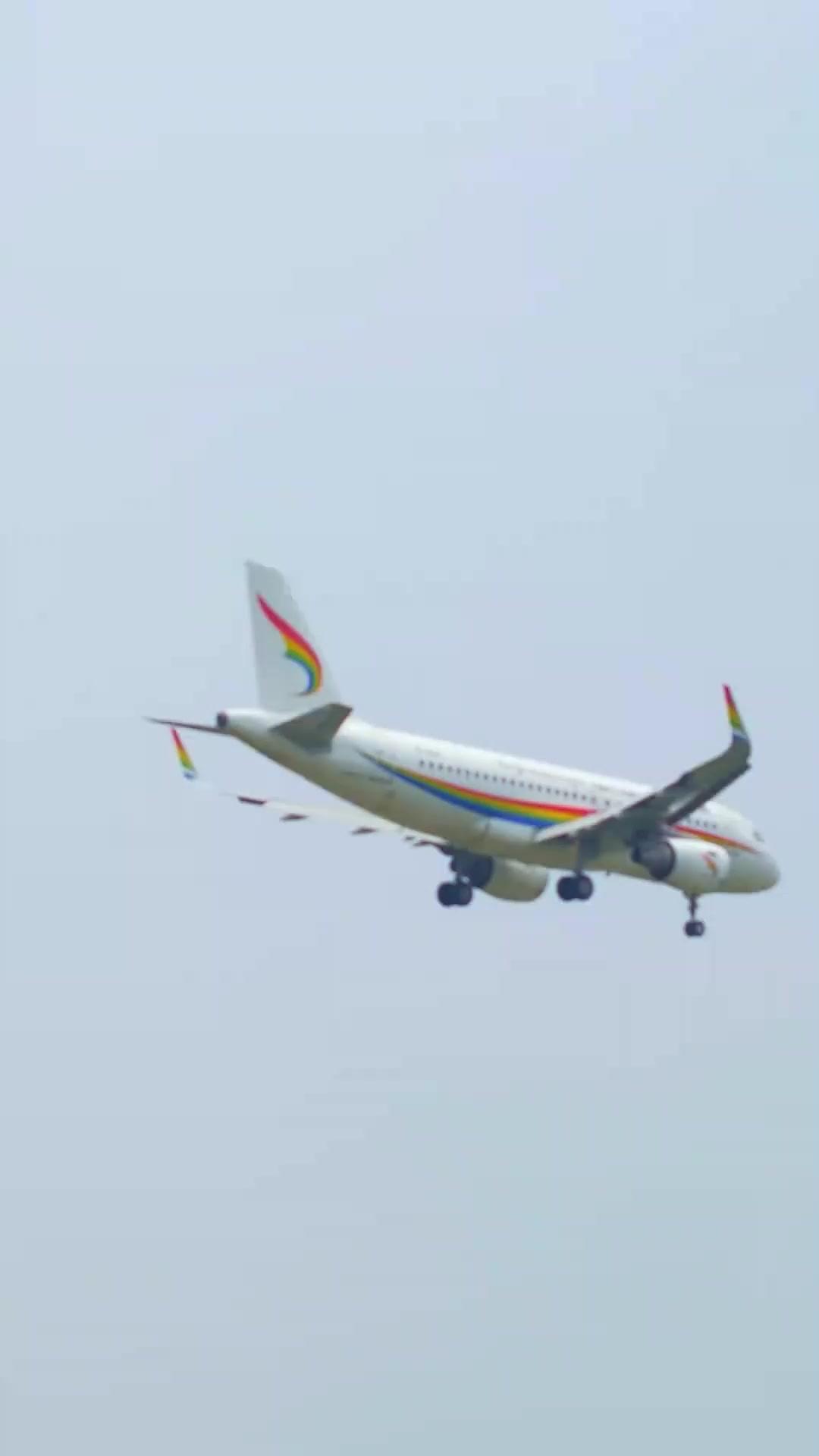 (Dubbed) Fleeting Fire, Lasting Scars