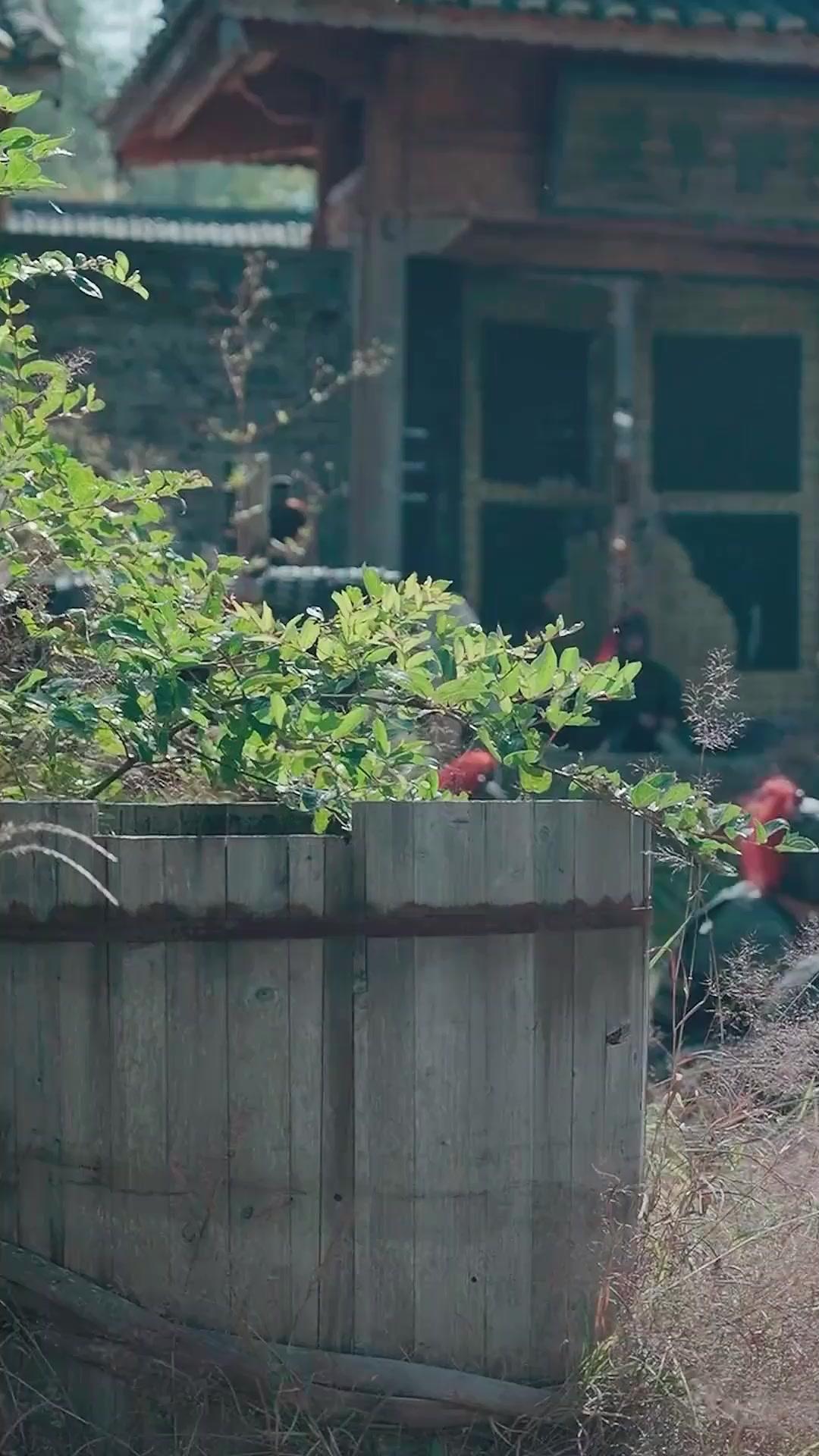 Dopo l'Addio, La Mia Vendetta Moderna