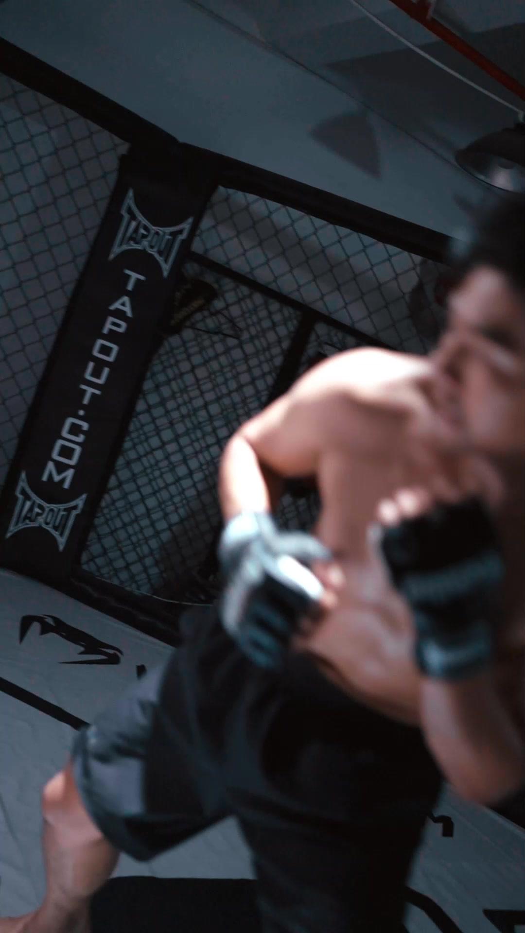 OMG! The Boxer King is Back!